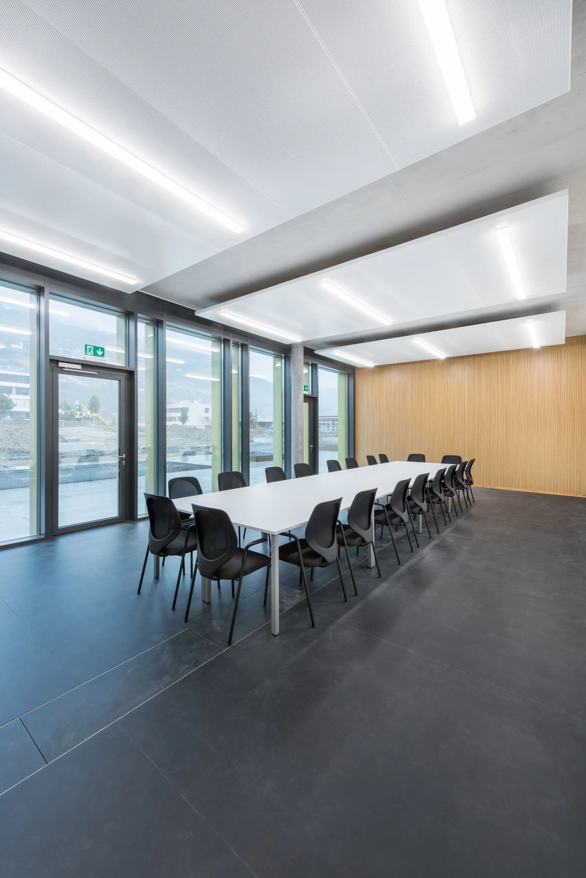 Regent Lighting - Purelite D