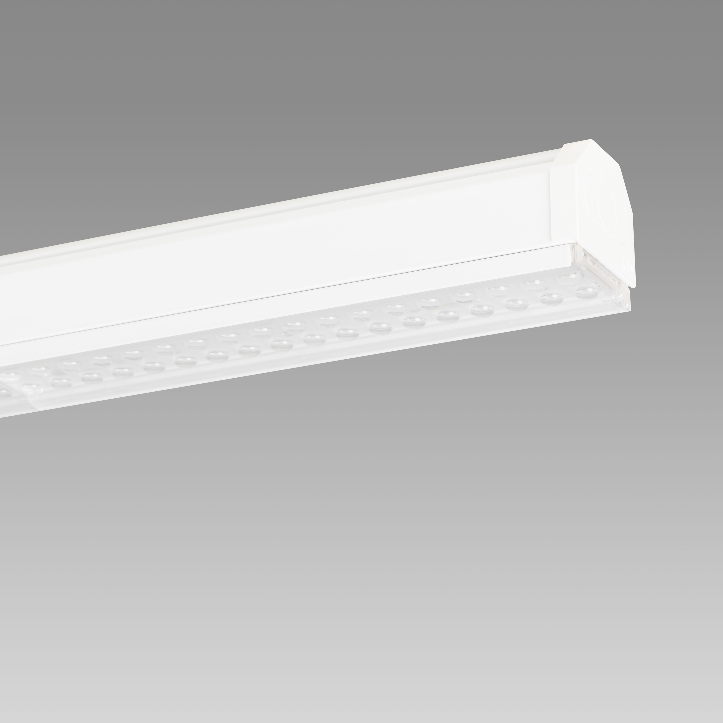 Display product Traq, Traq Case, Traq Office from manufacturer Regent Lighting