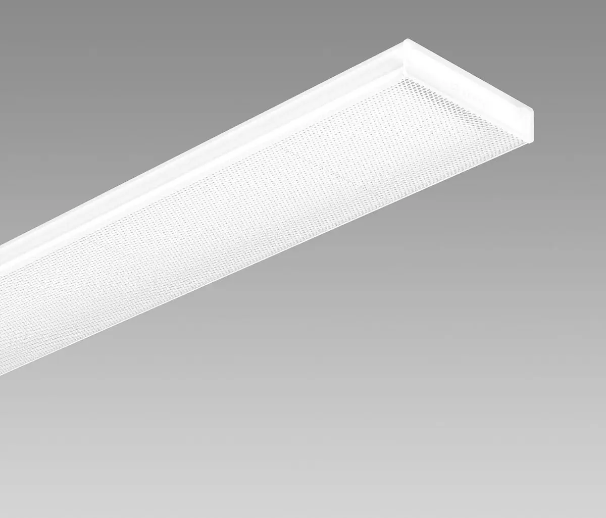 Regent Lighting - Purelite Office