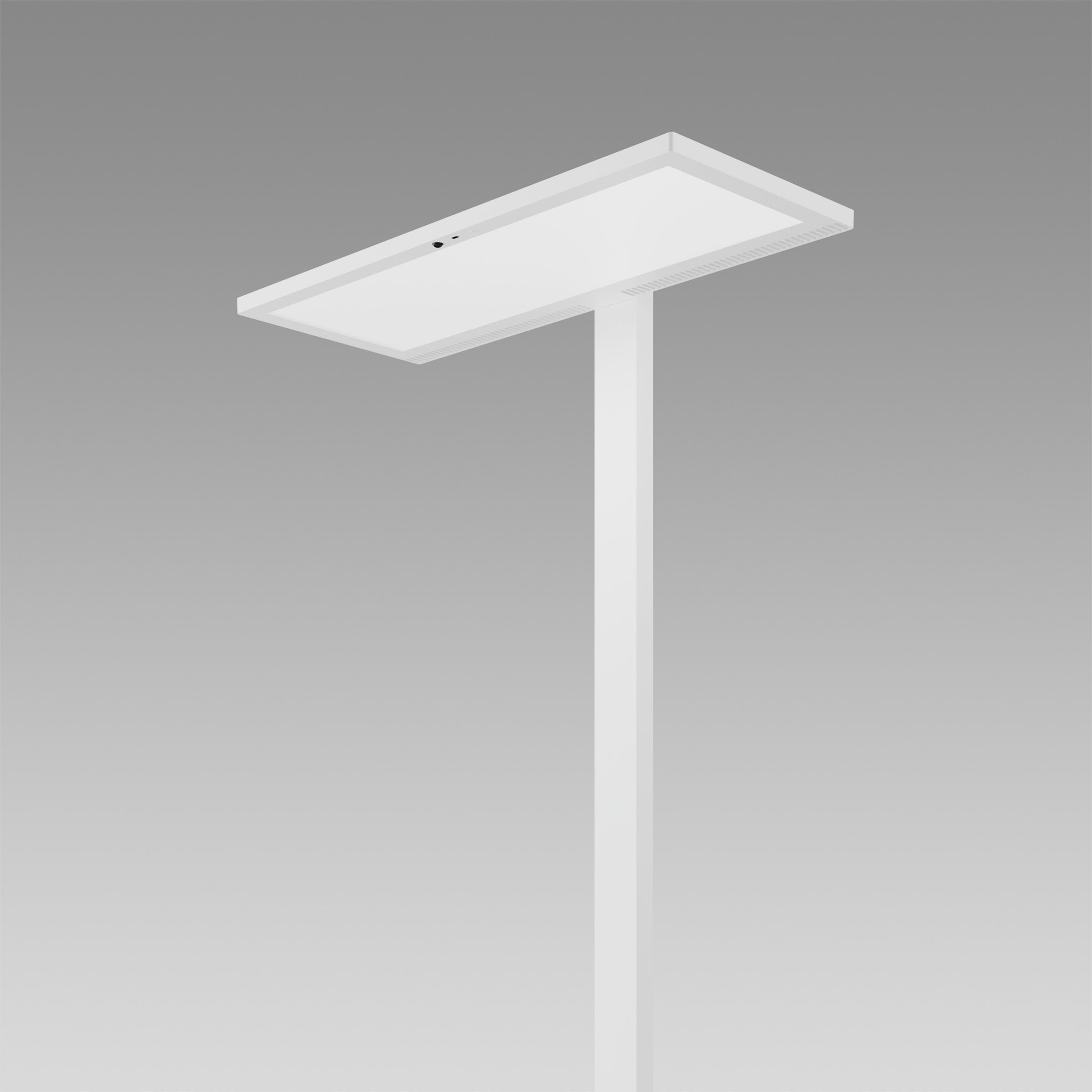 Lightpad Office