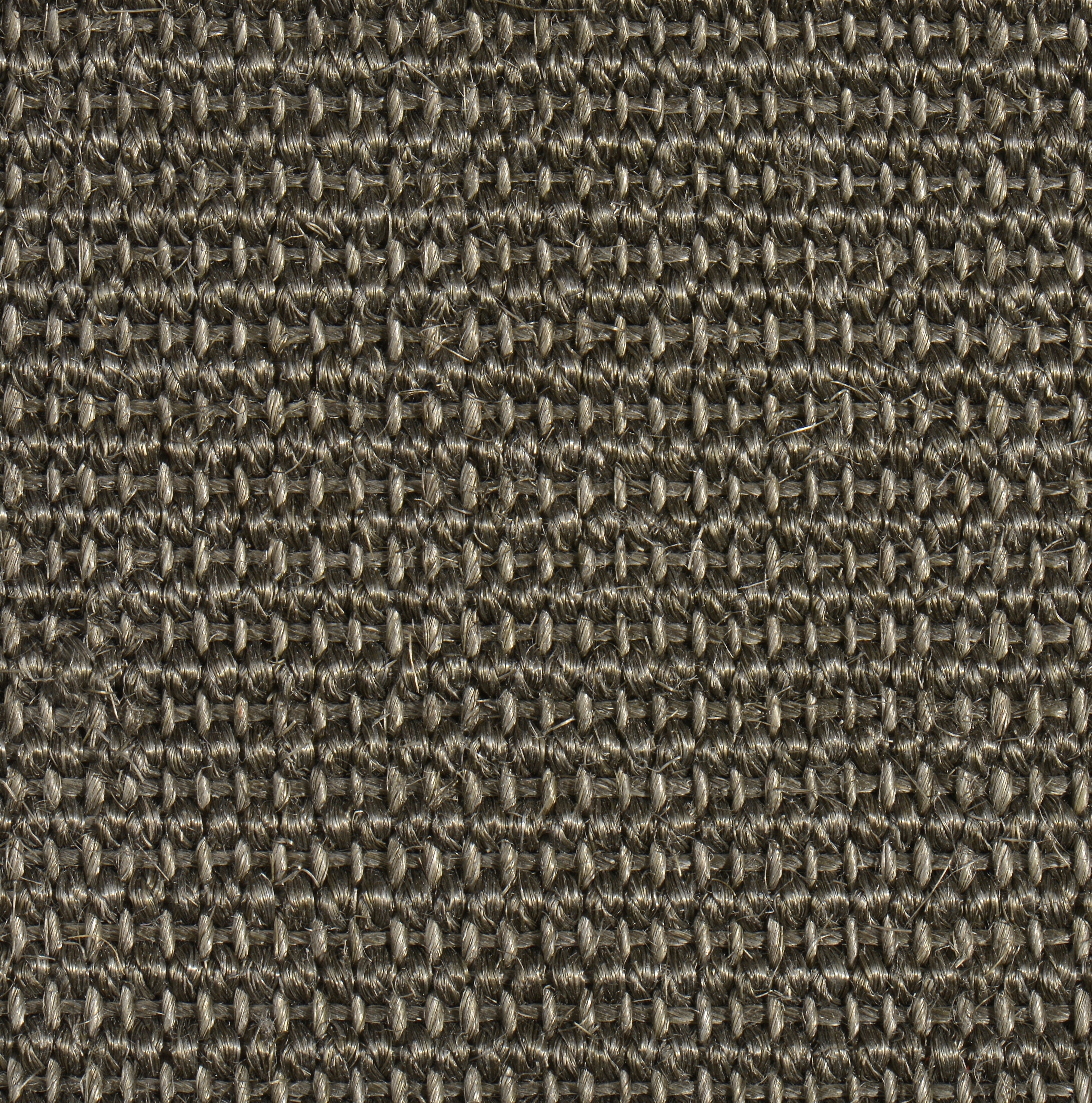 Jaipolino 60206