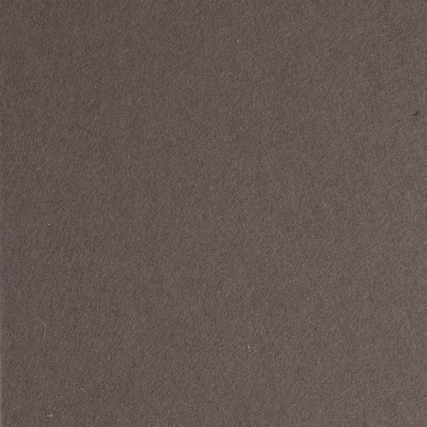Pannello Feltro Two 20387