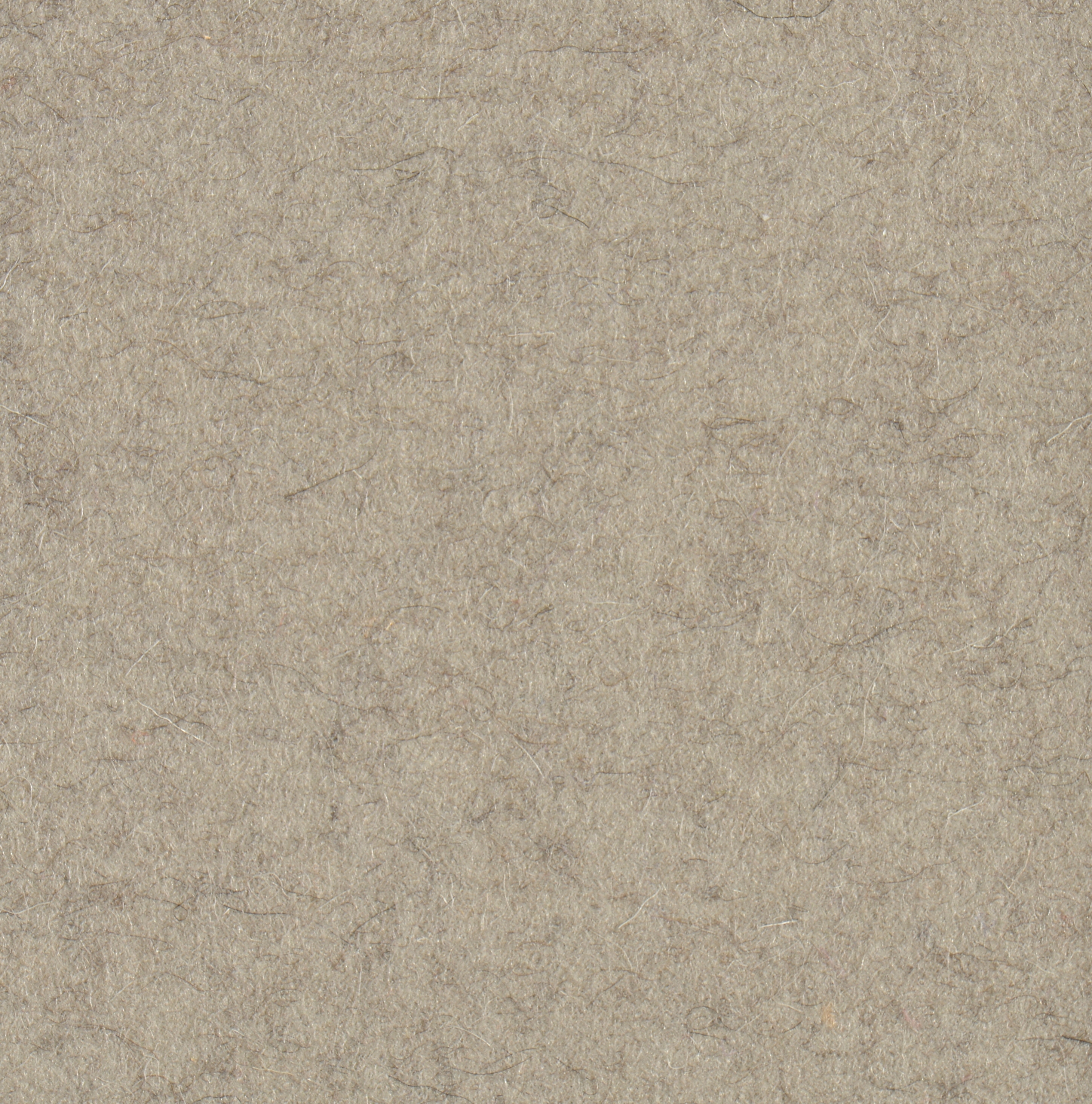 Feltro Color 60281