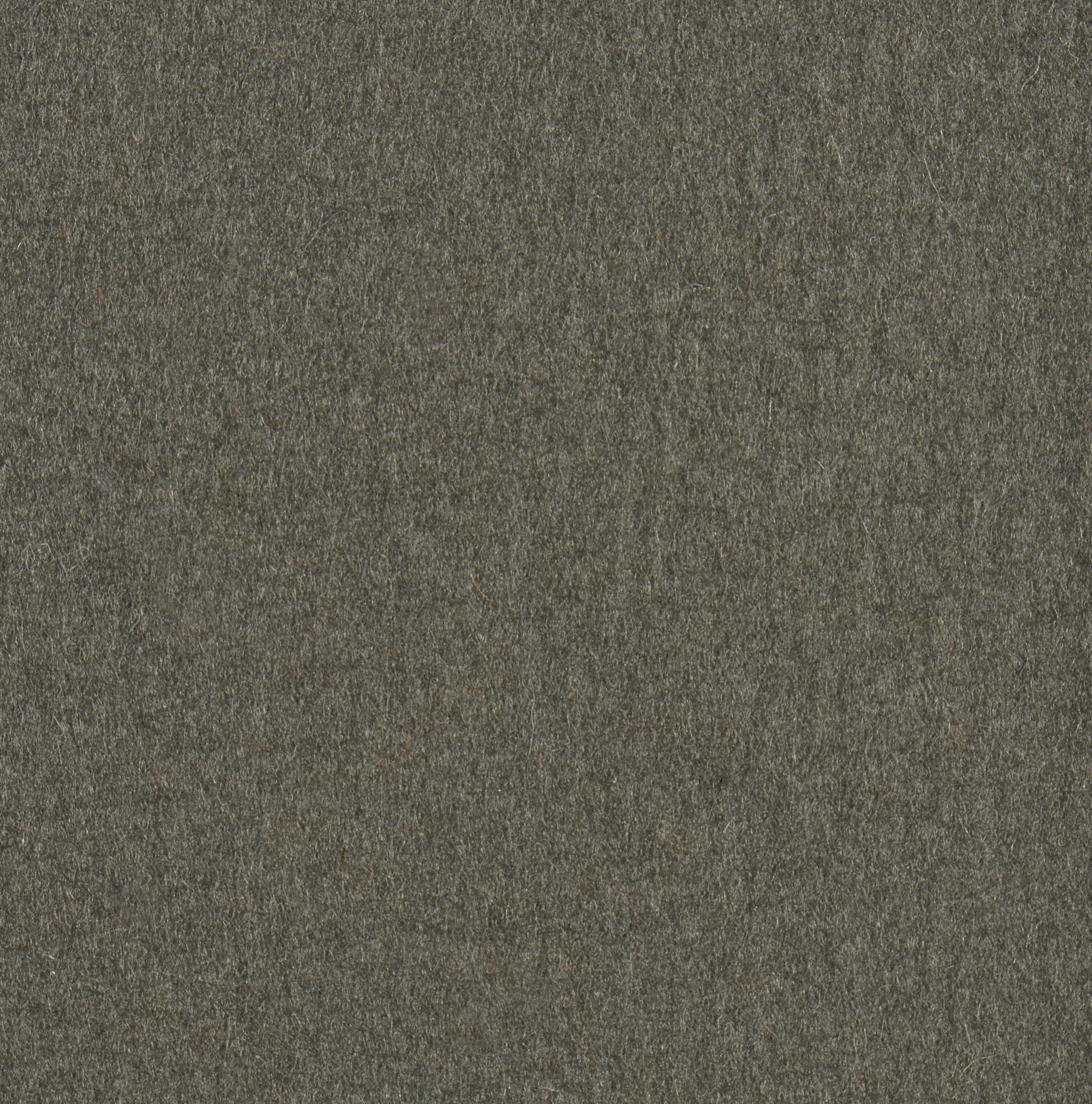 Feltro Color 70036