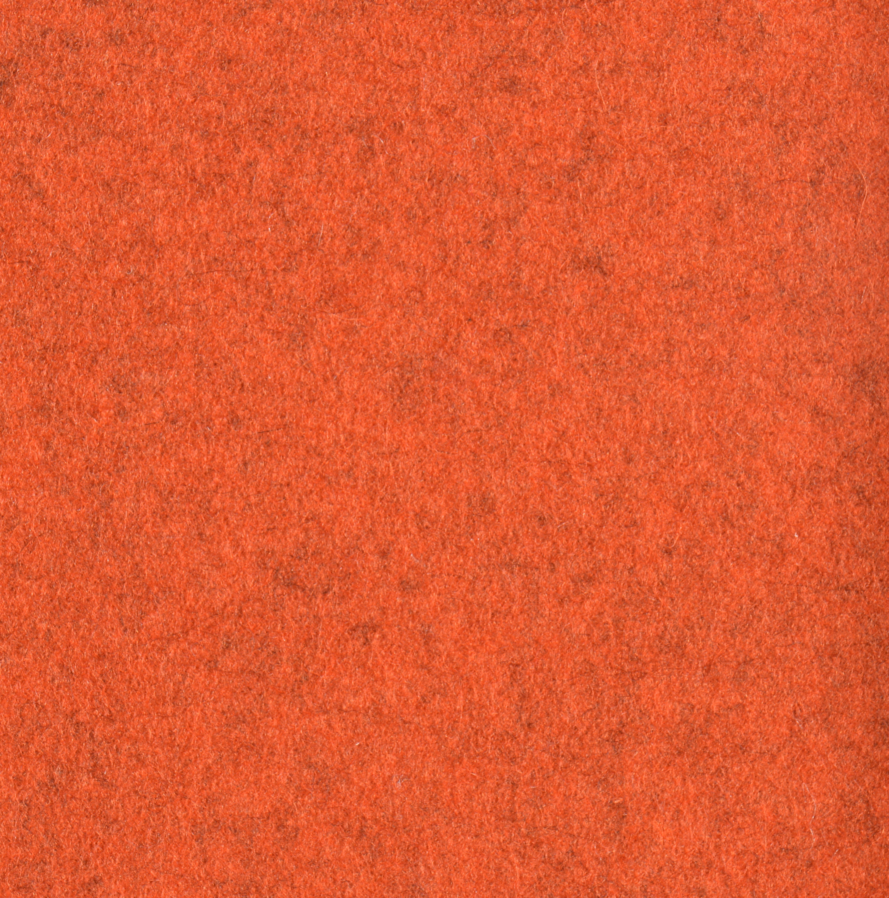 Feltro Color 10239