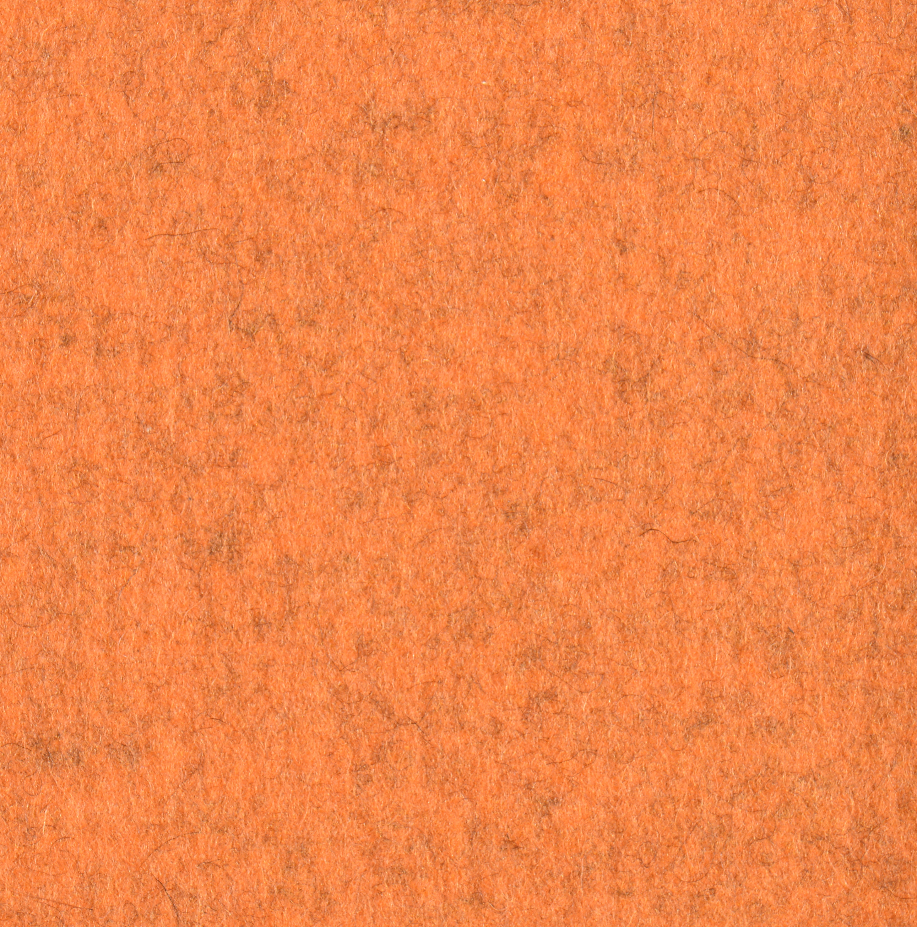 Feltro Color 10240