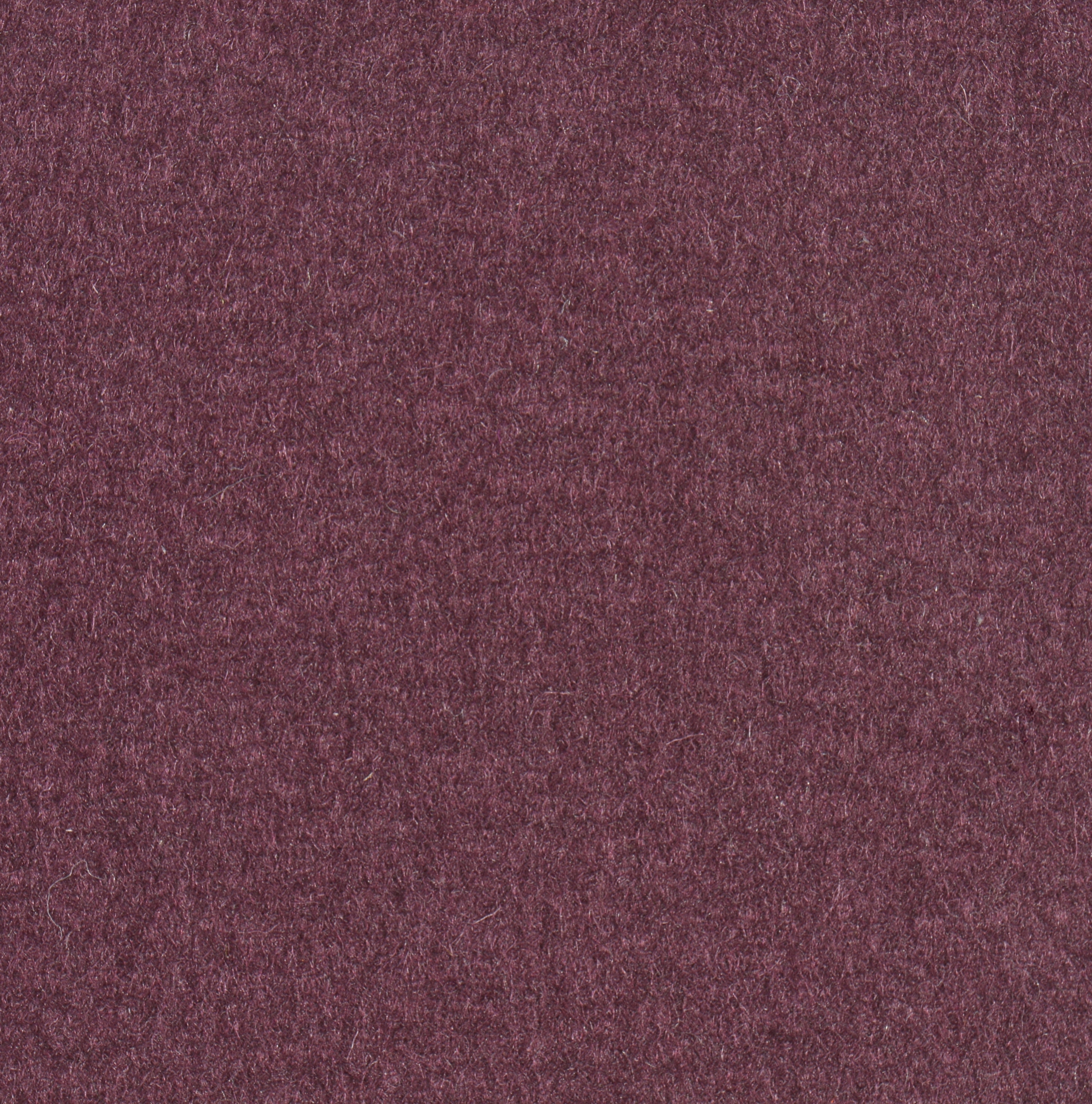 Feltro Color 10252