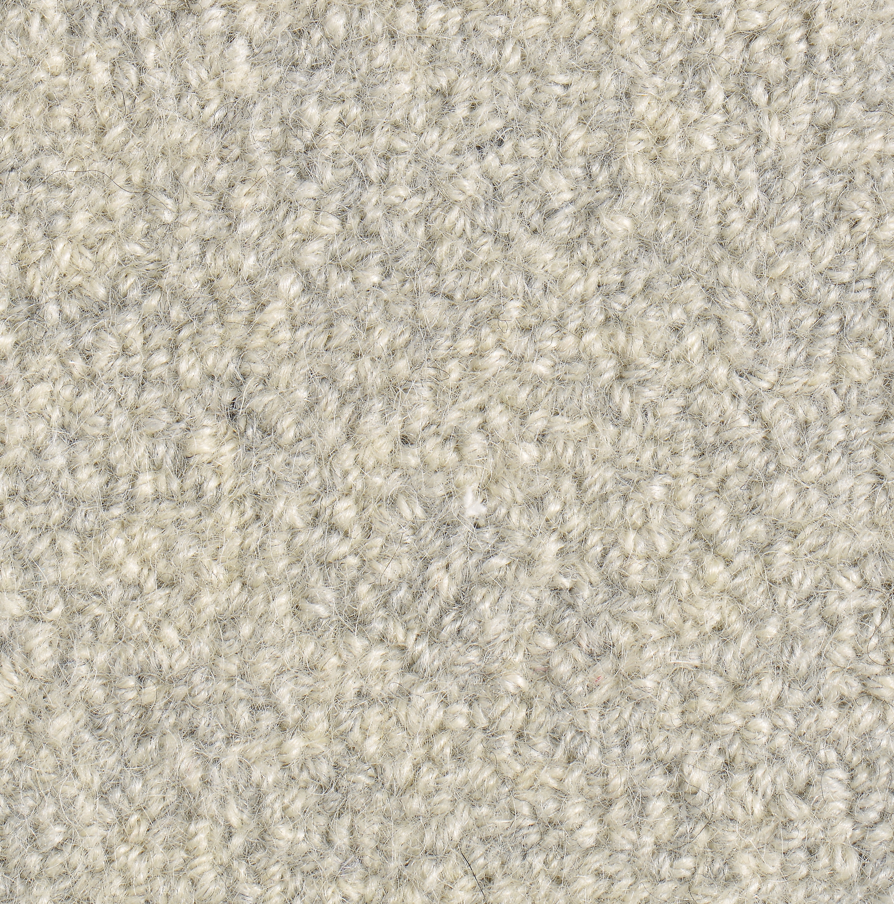 Mostra il prodotto Schwarznase Tazz 60377 del produttore Ruckstuhl