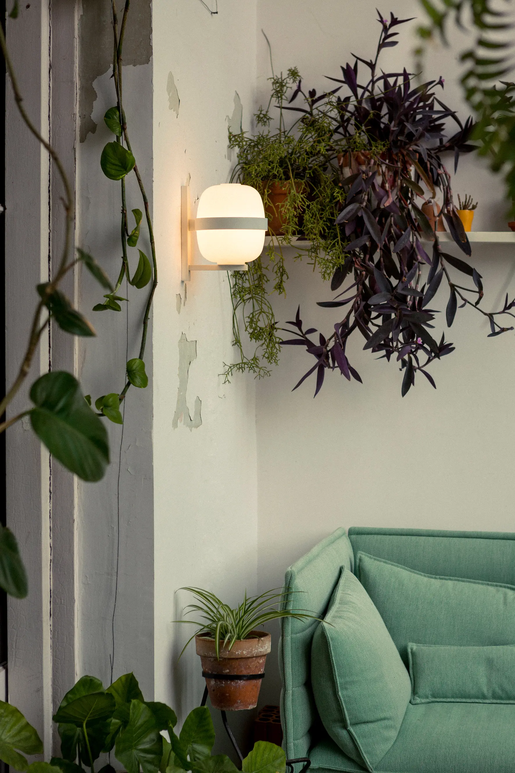 Santa & Cole - Wally Cestita | Apliques