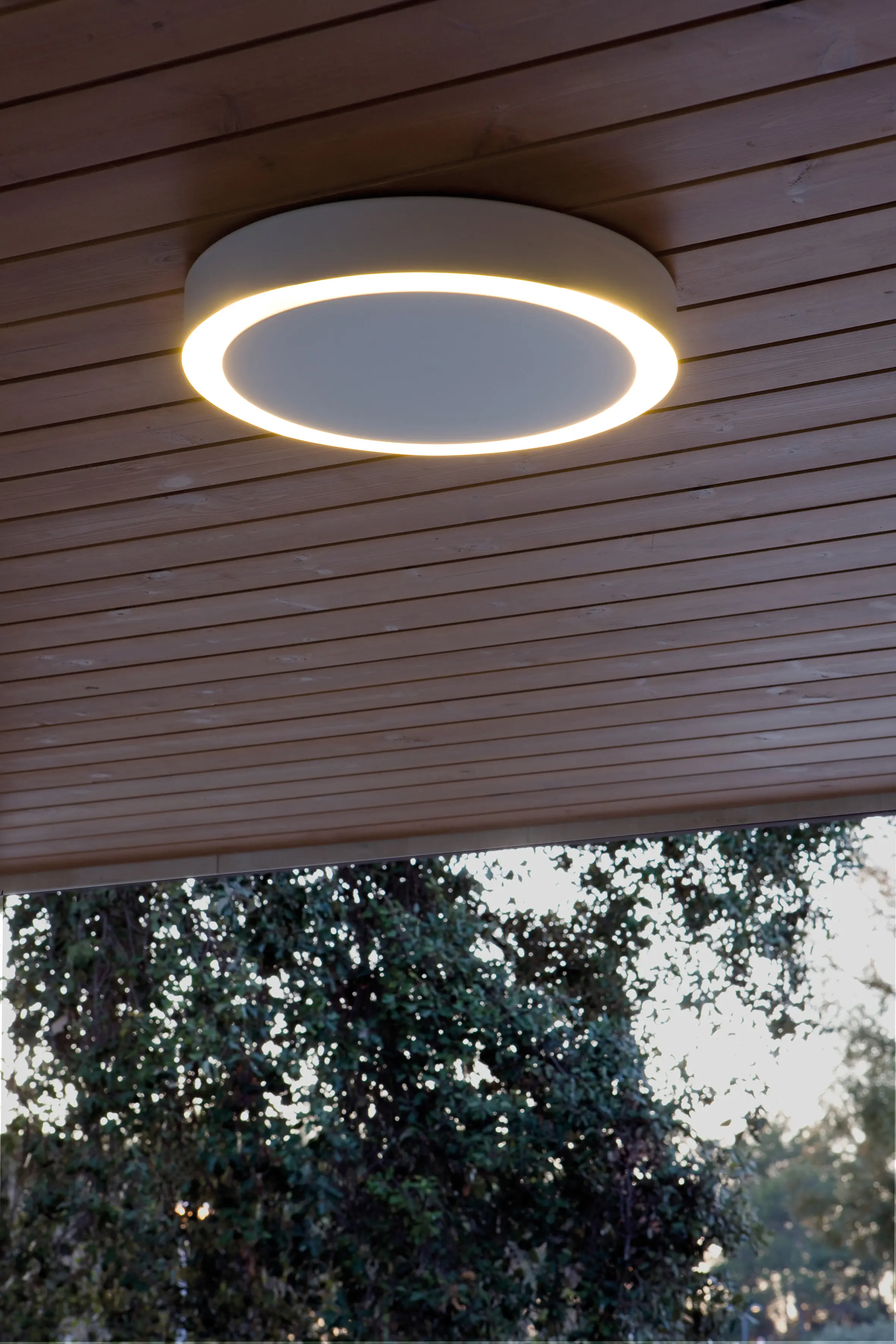 Santa & Cole - Amigo