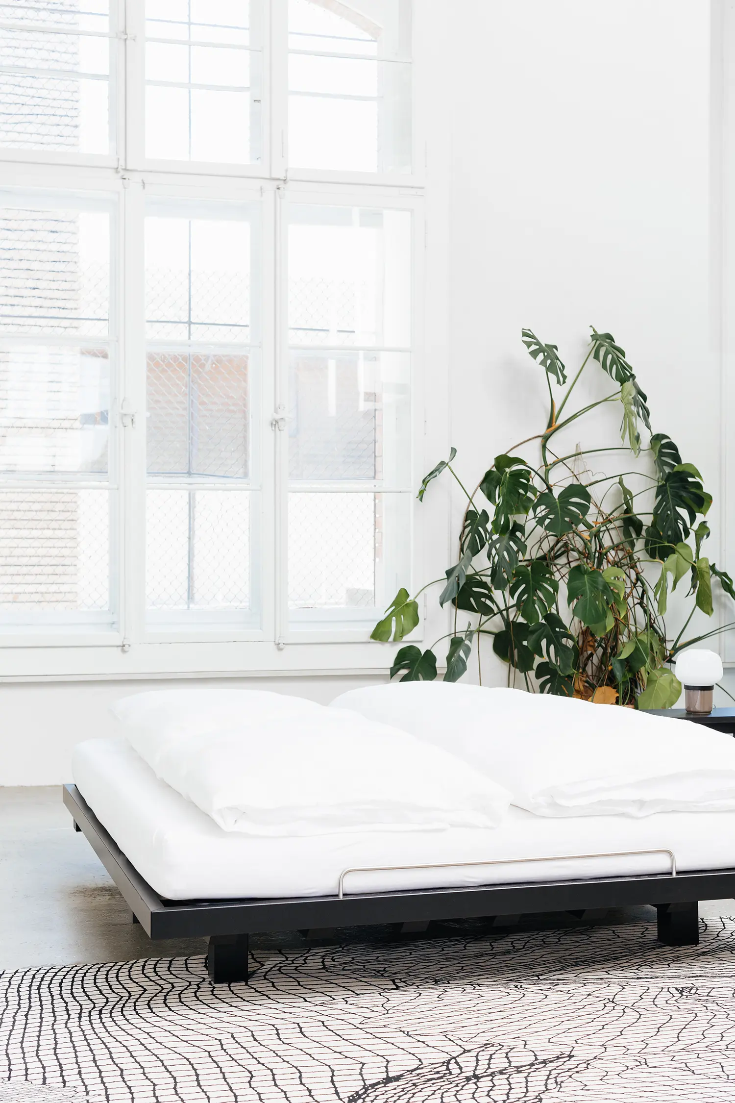 seledue - SN/1 Bett