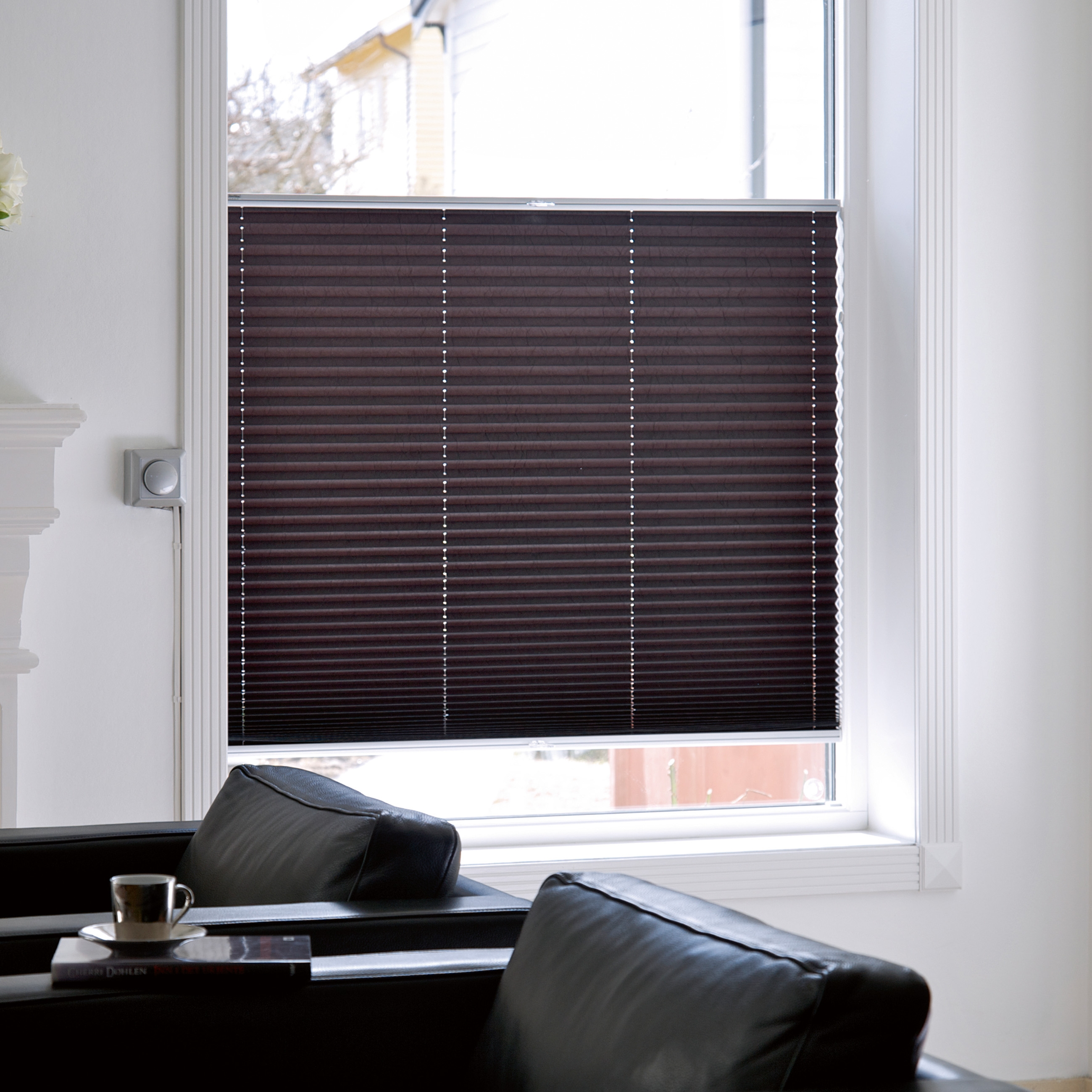 Display product Silent Gliss Pleated Blind System from manufacturer Silent Gliss