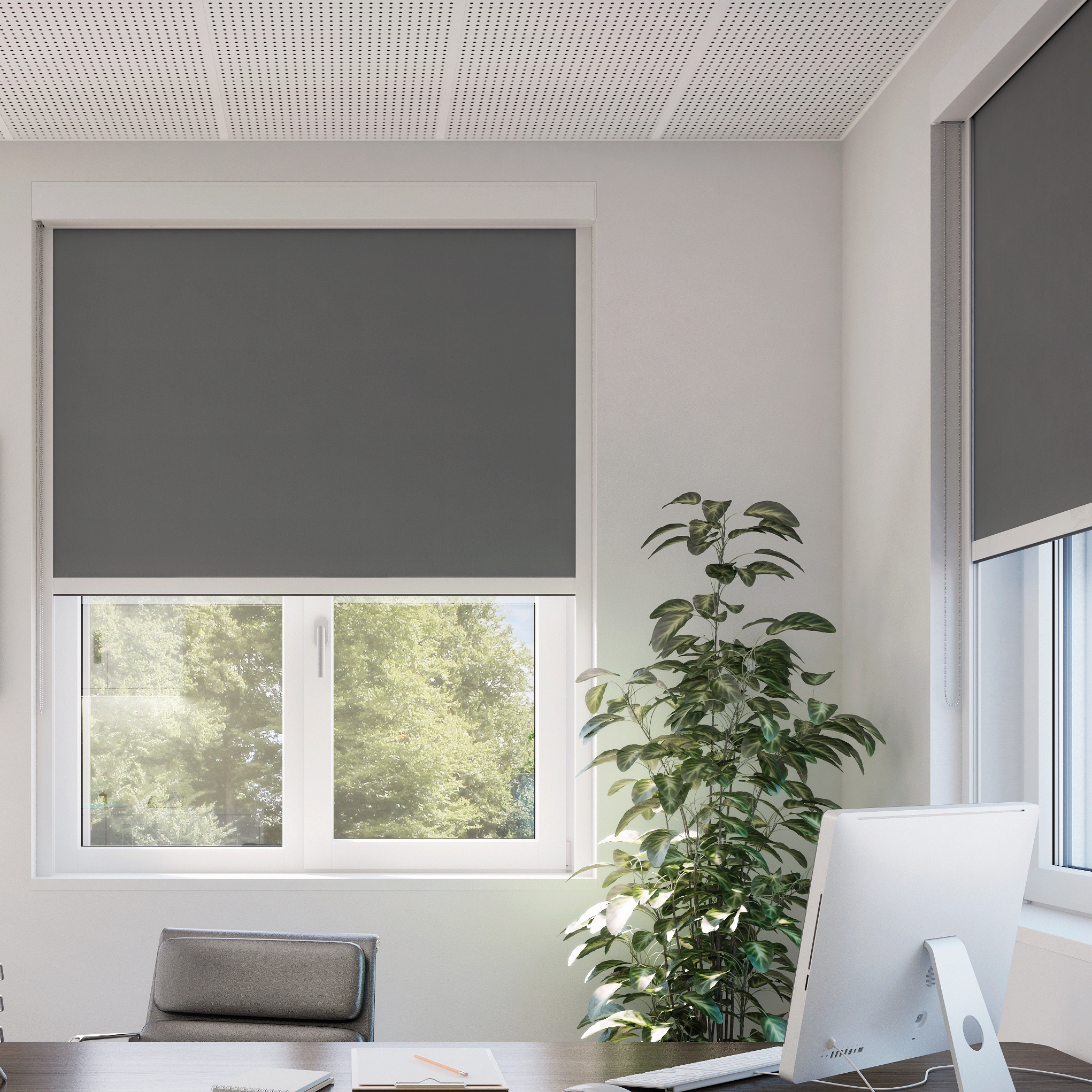Display product Dim-Out Blind System SG 4710 from manufacturer Silent Gliss