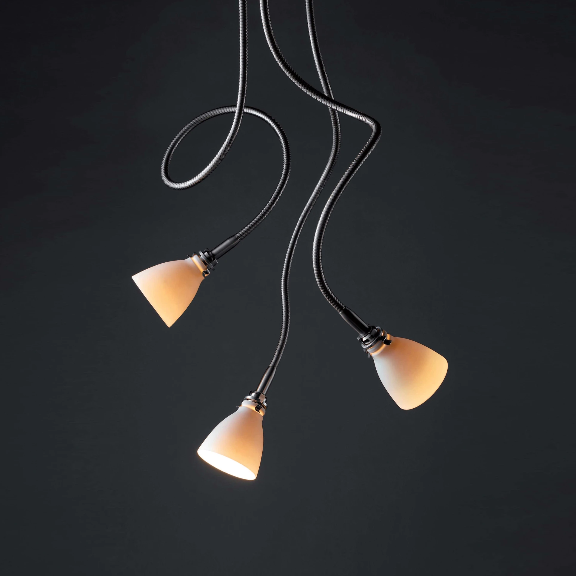 FLEXIBLE STEM LIGHTS