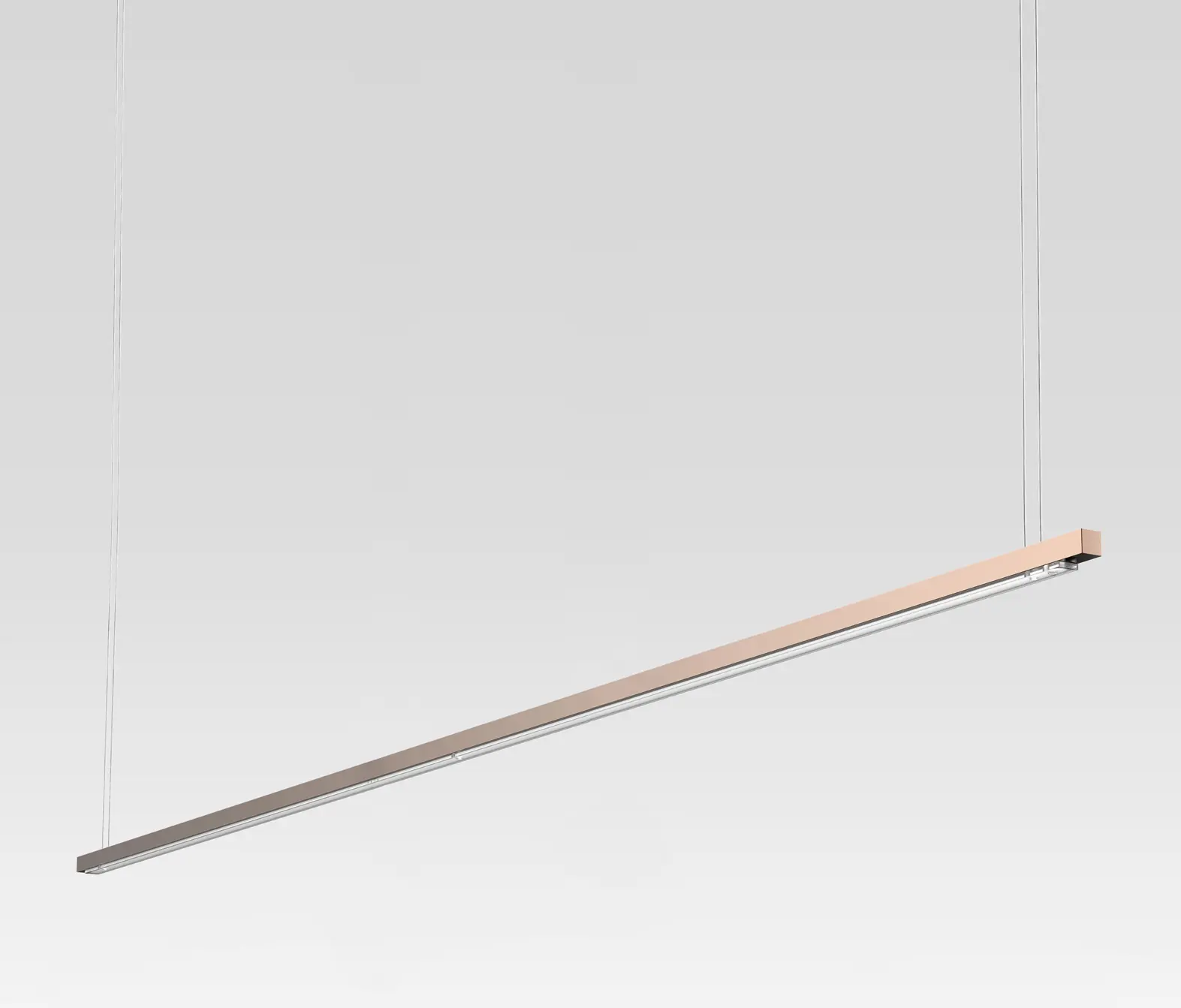 STENG LICHT - ONELINE
