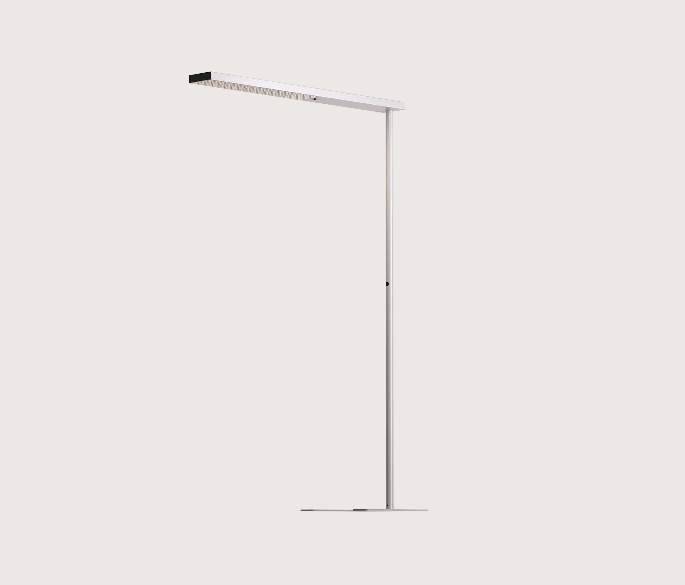 GRAU - Xt-a Plus