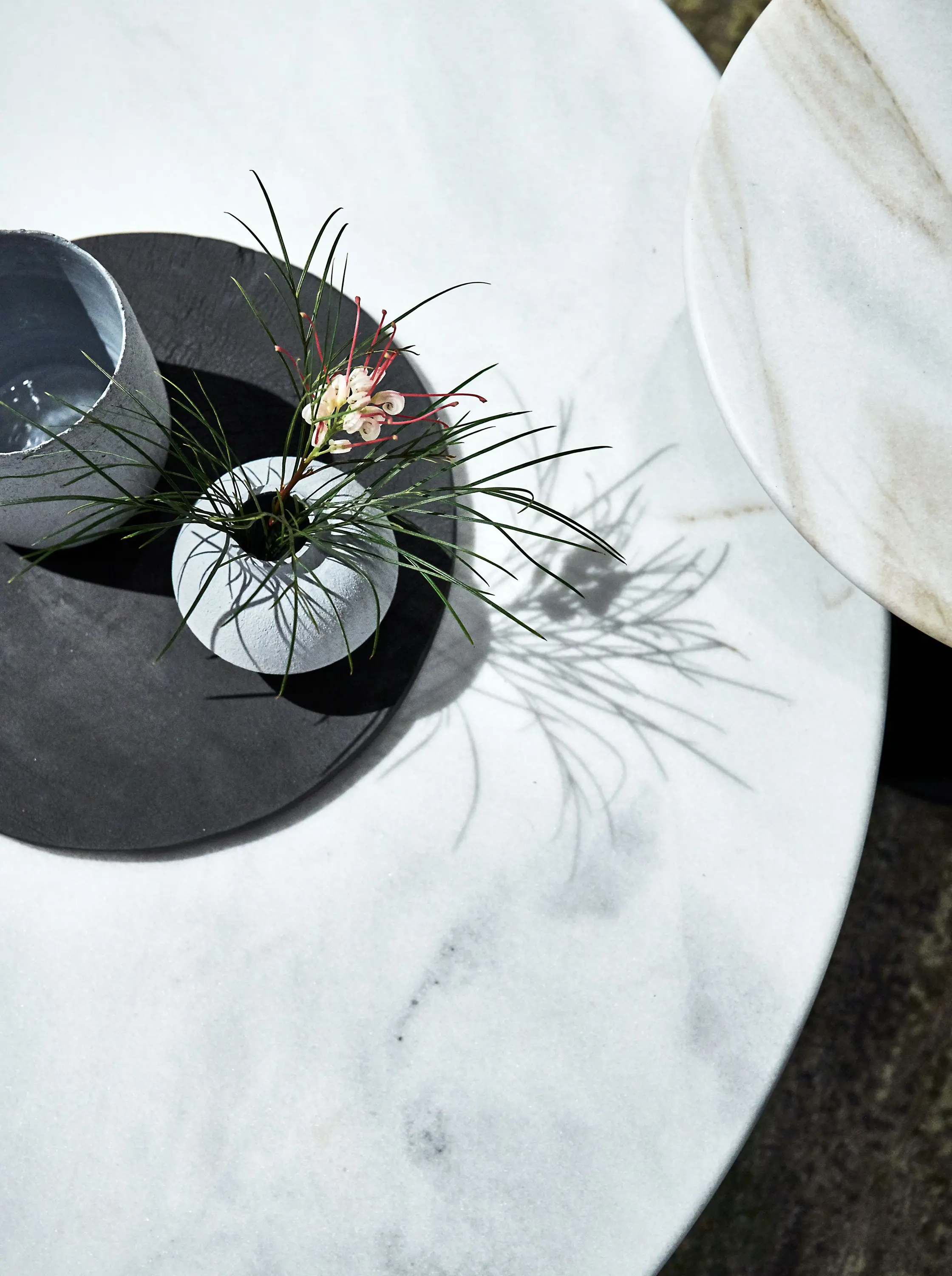 Walter Knoll - Joco Nest