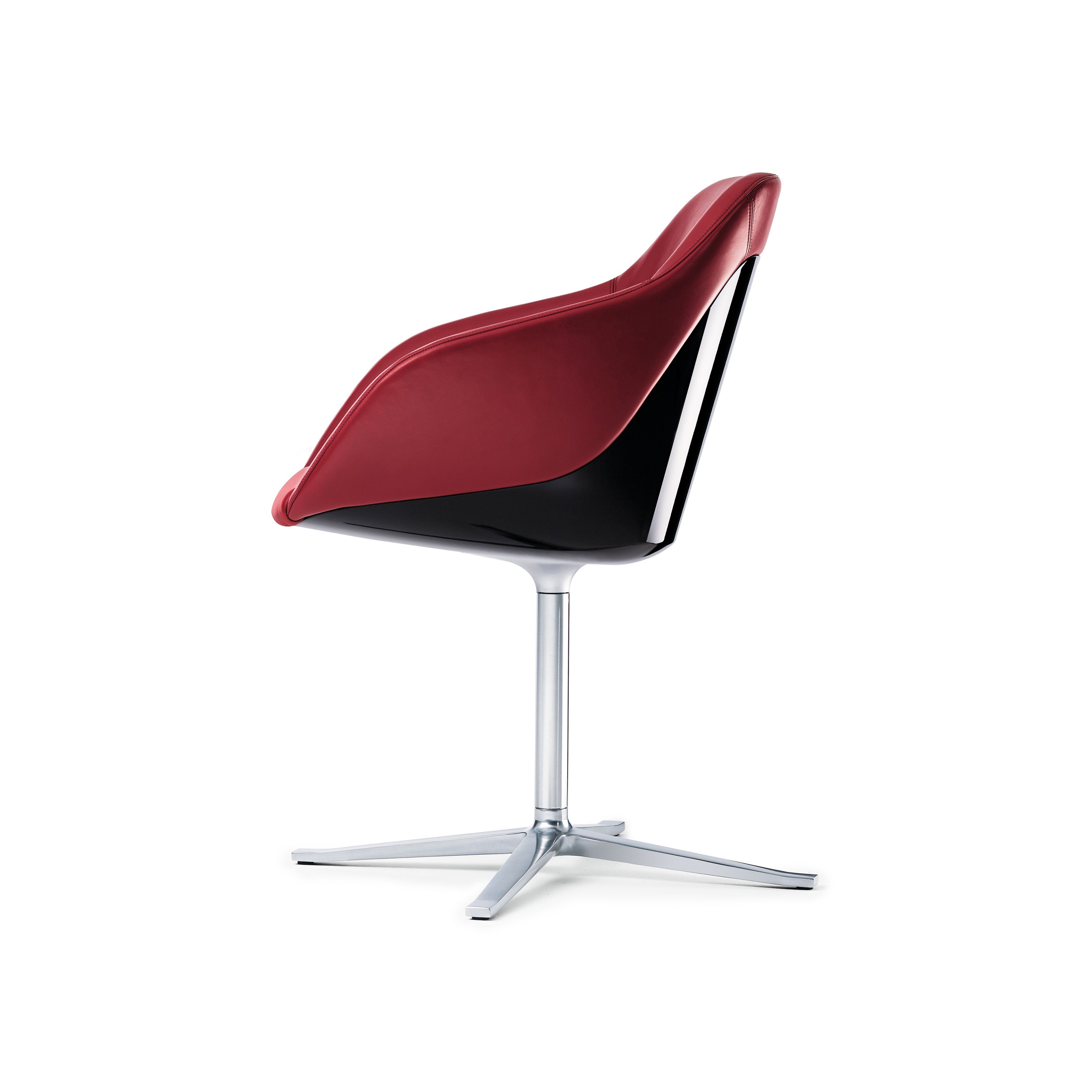 Turtle Chair