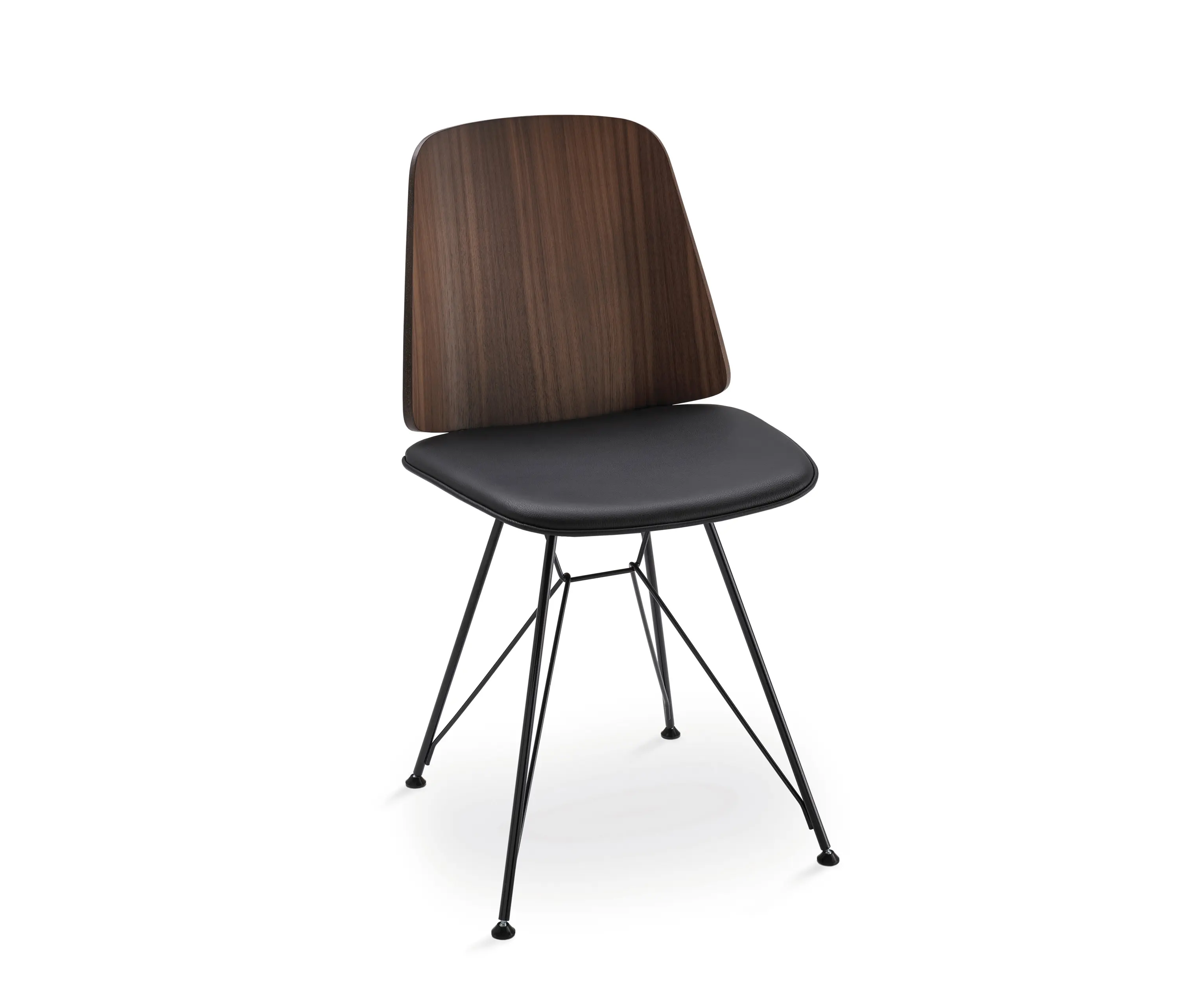 Zanotta - June I 2056