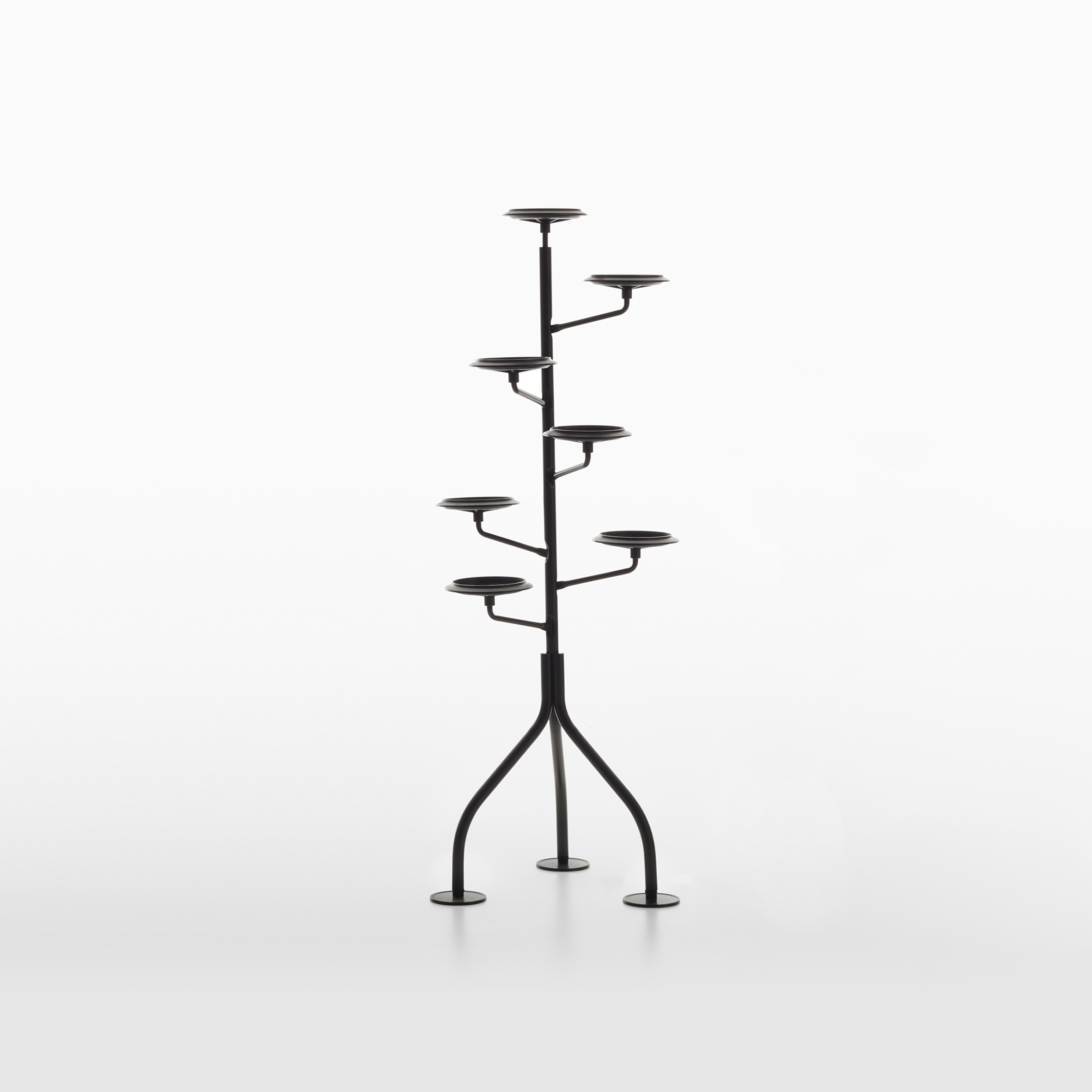 Albero | 400