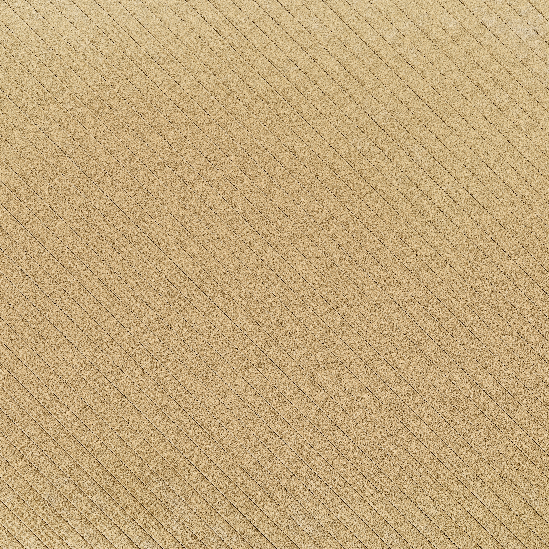 Display product ETTARO | 170-171 from manufacturer Zanotta
