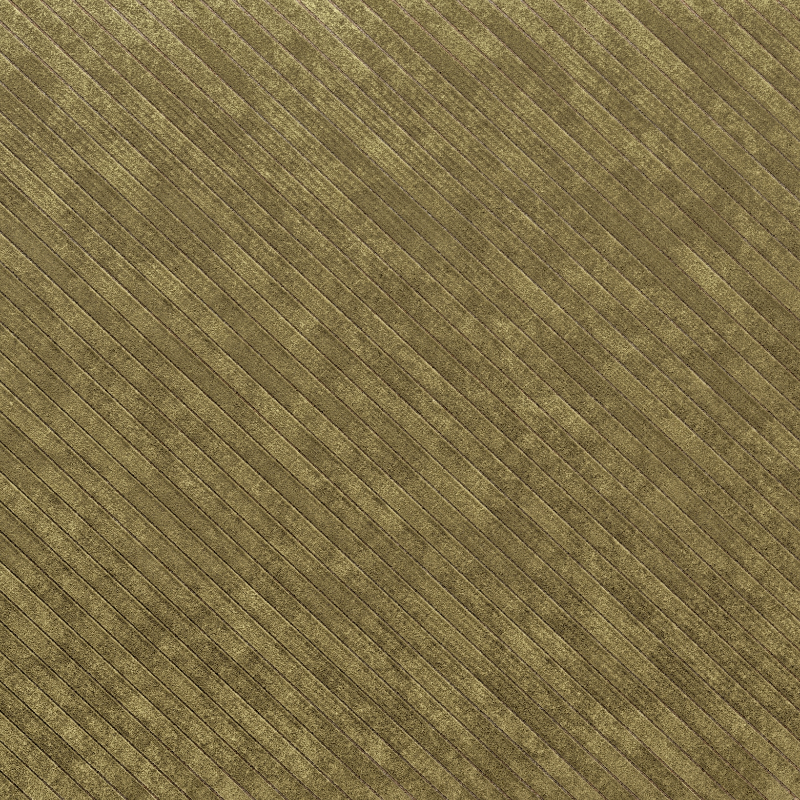 ETTARO | 170