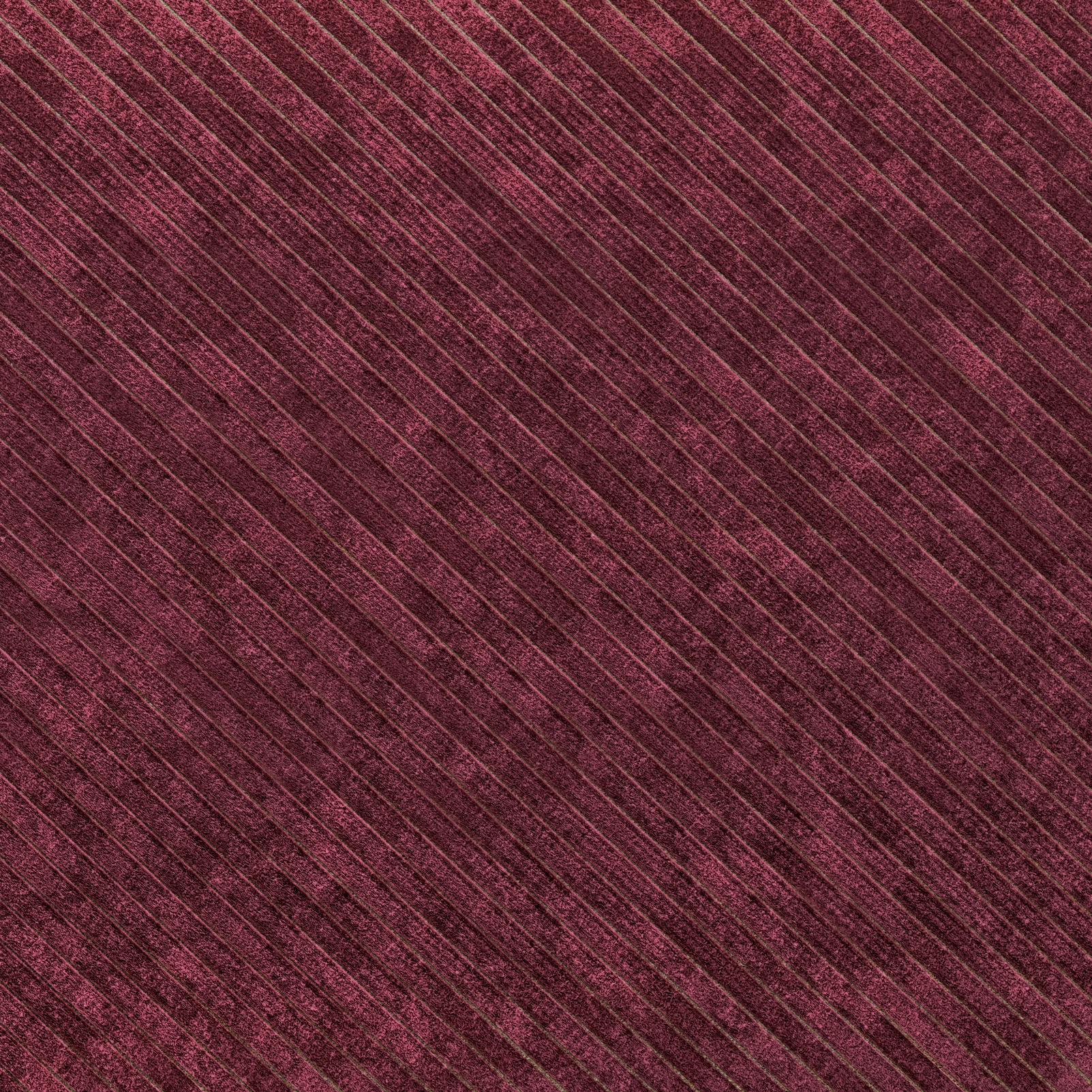 ETTARO | 170
