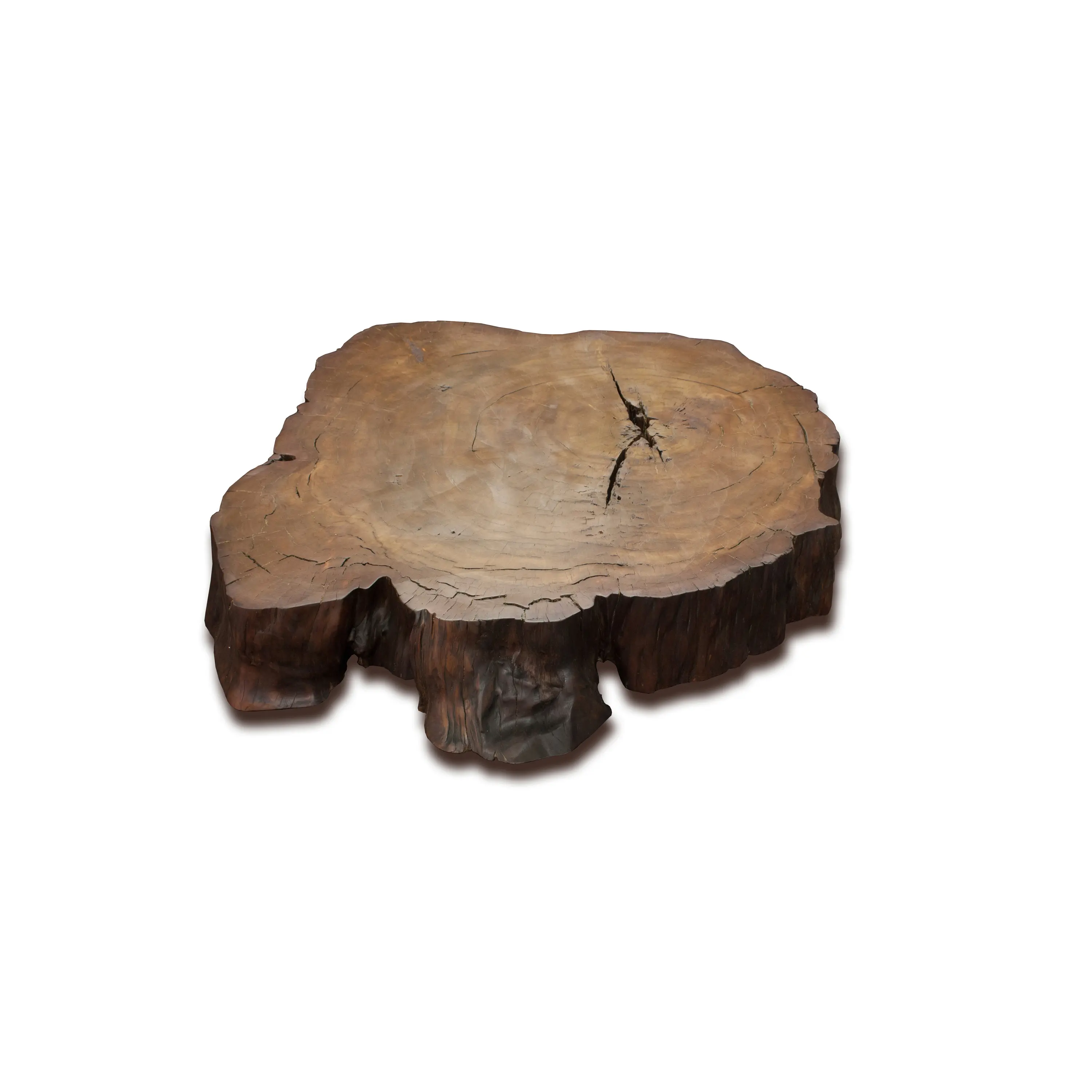Riva 1920 - Stump Kauri