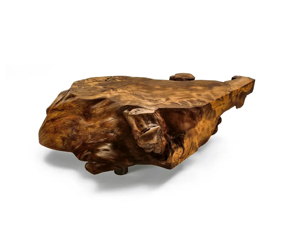 Riva 1920 - Kauri Stump
