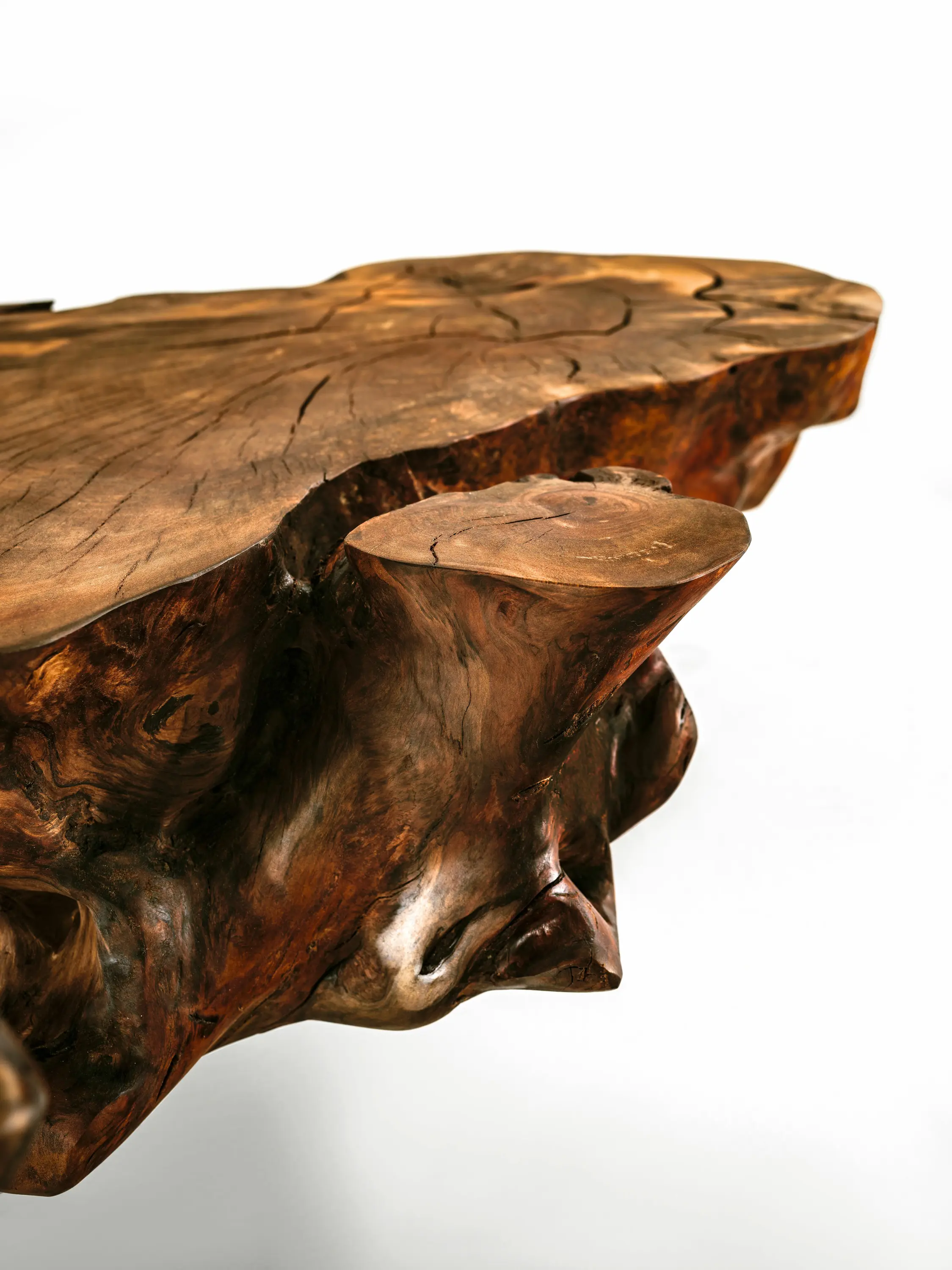Riva 1920 - Kauri Stump