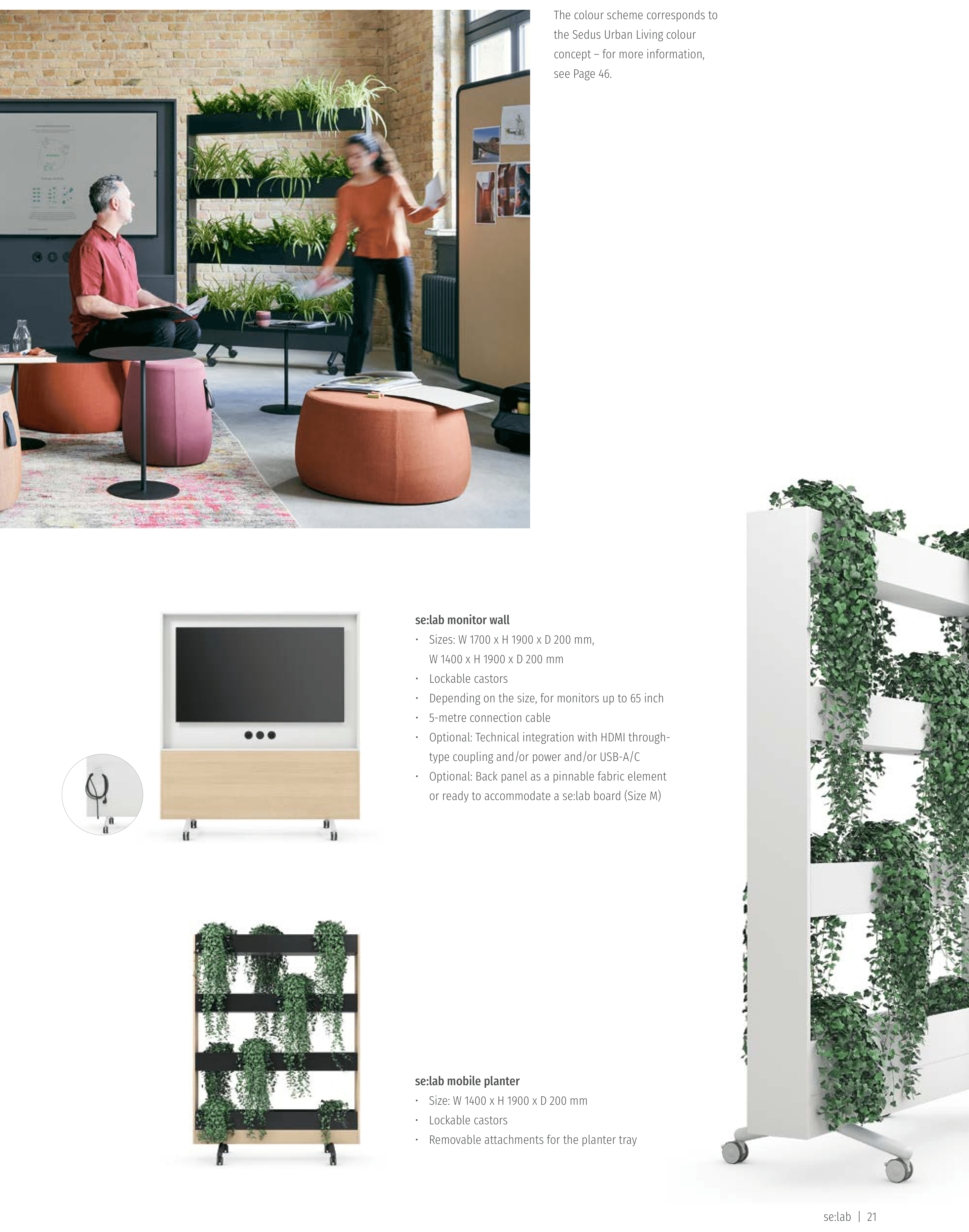 Thumbnail for image 8