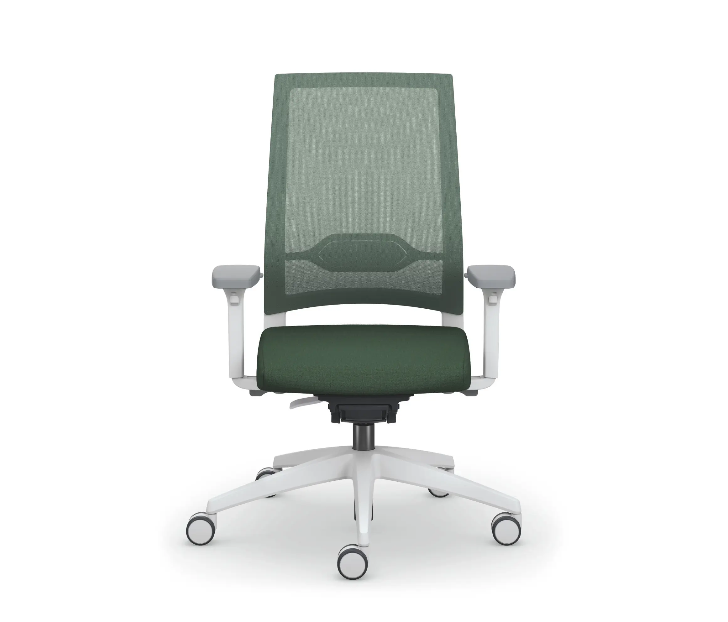 Sedus Stoll - quarterback 2