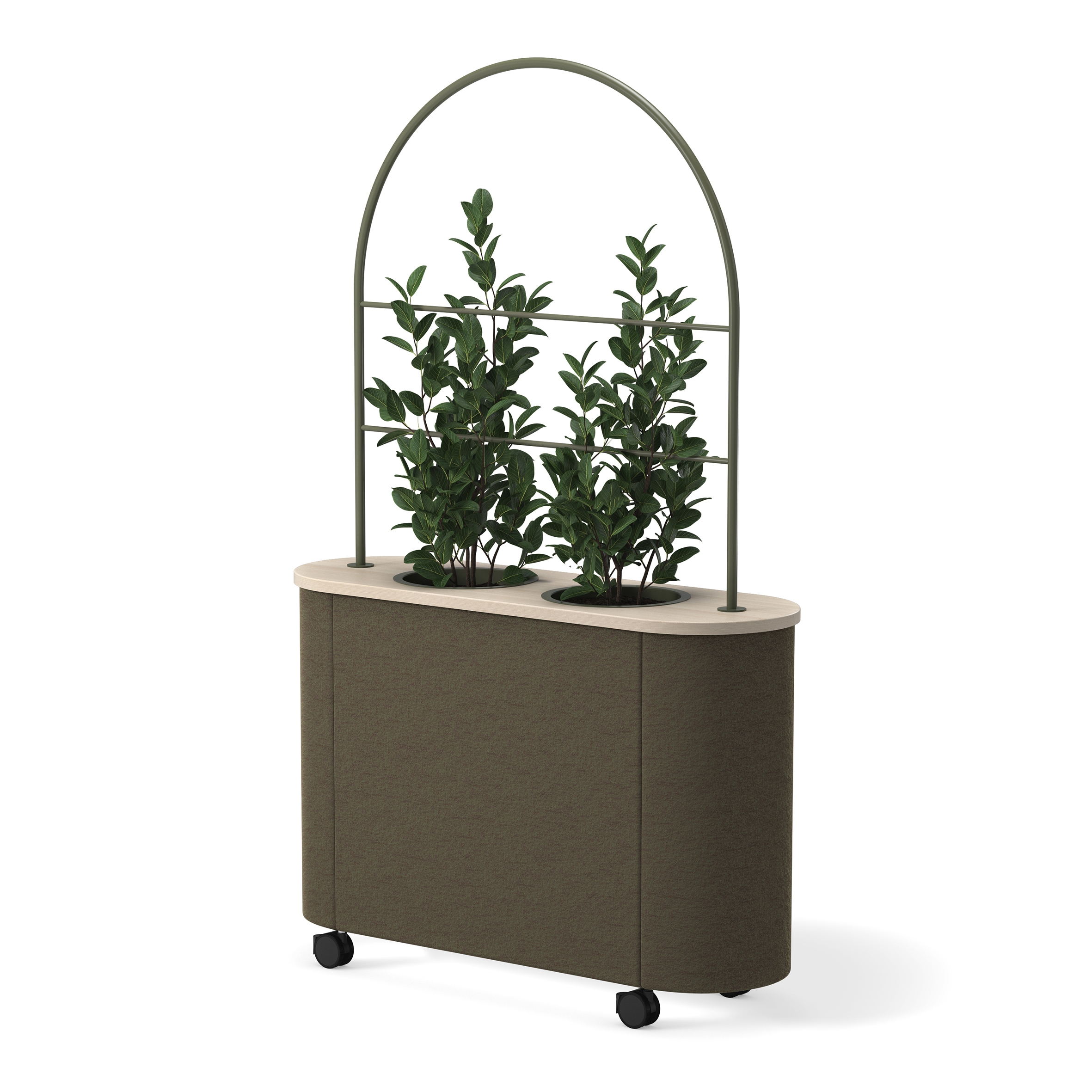 Display product Hedge T-4620 from manufacturer Skandiform