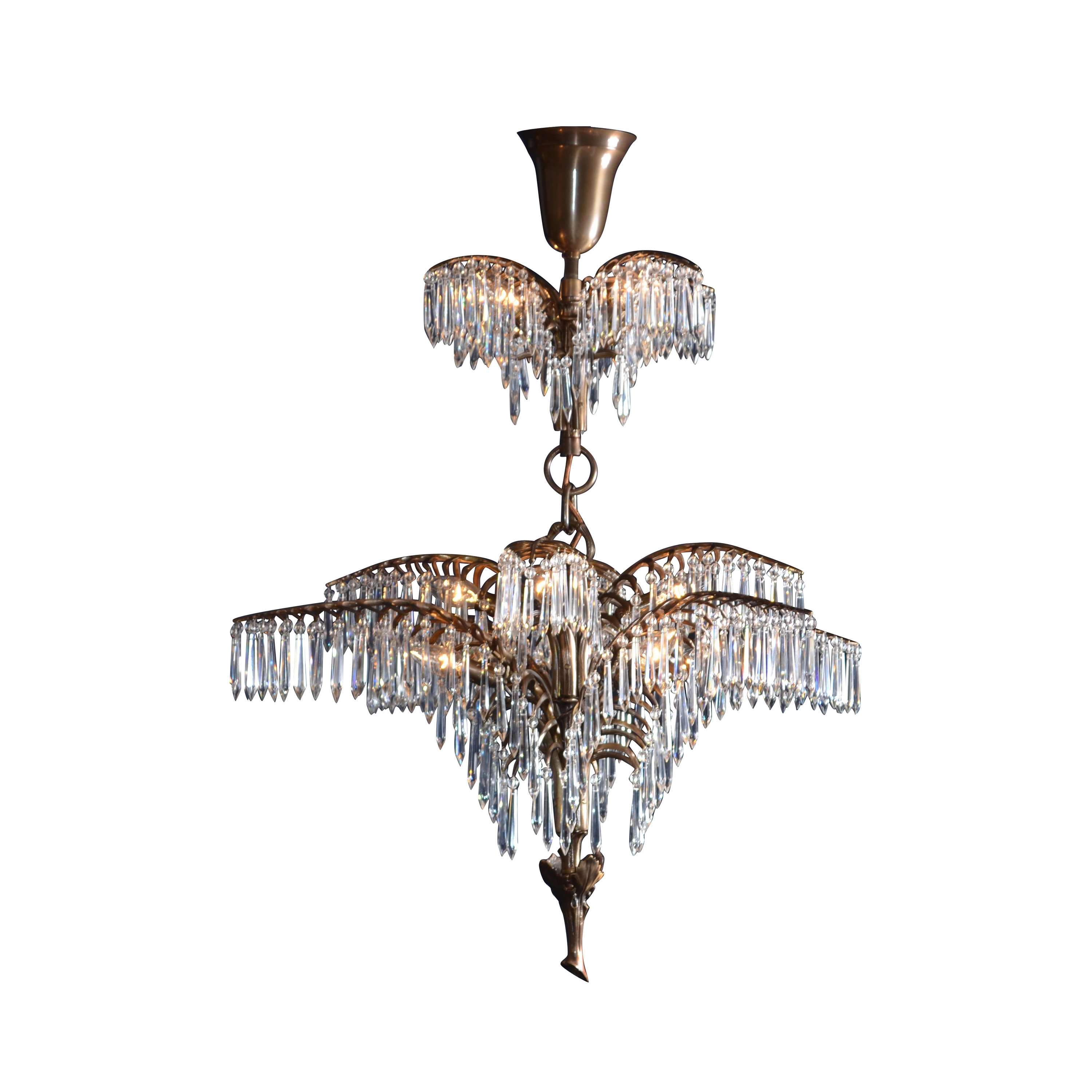 Display product Palme Paris from manufacturer Woka