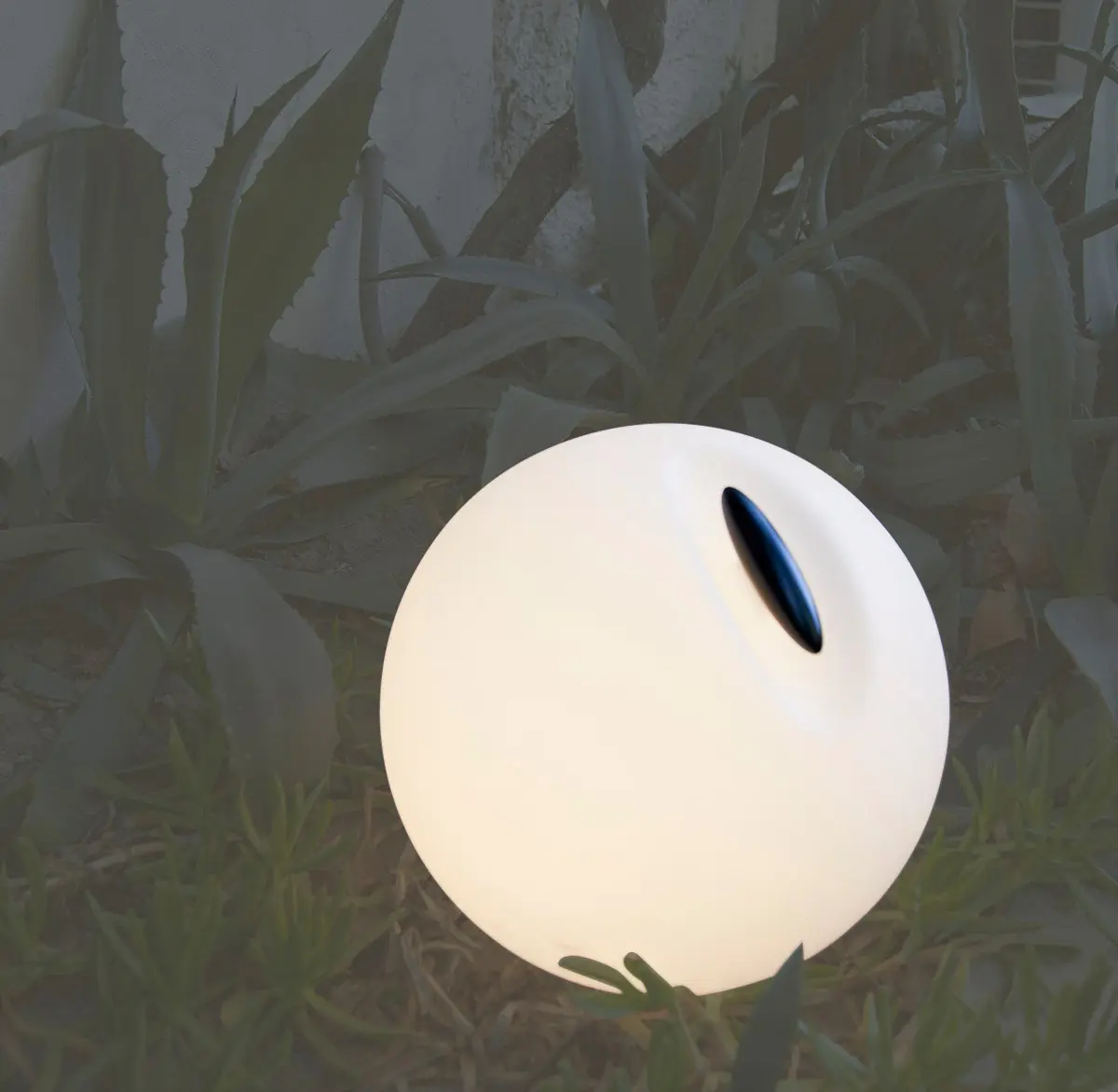 martinelli luce - Bowl