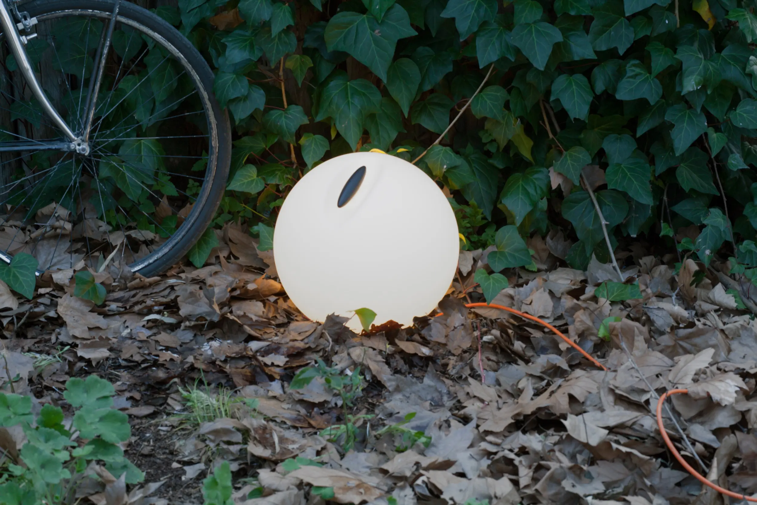 martinelli luce - Bowl