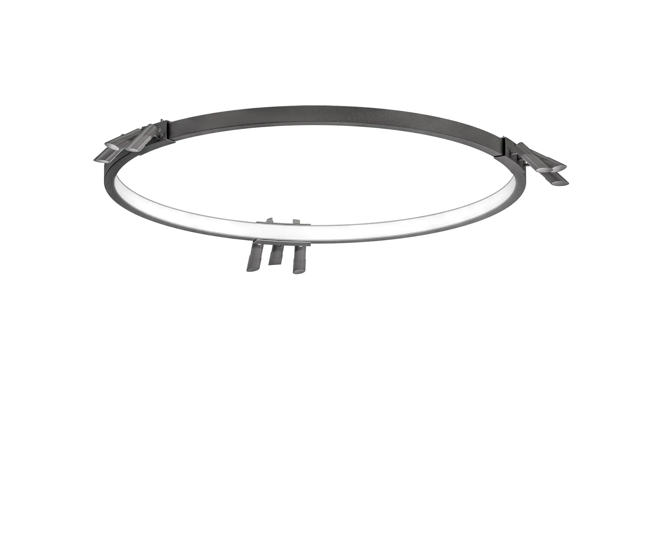 martinelli luce - Loop