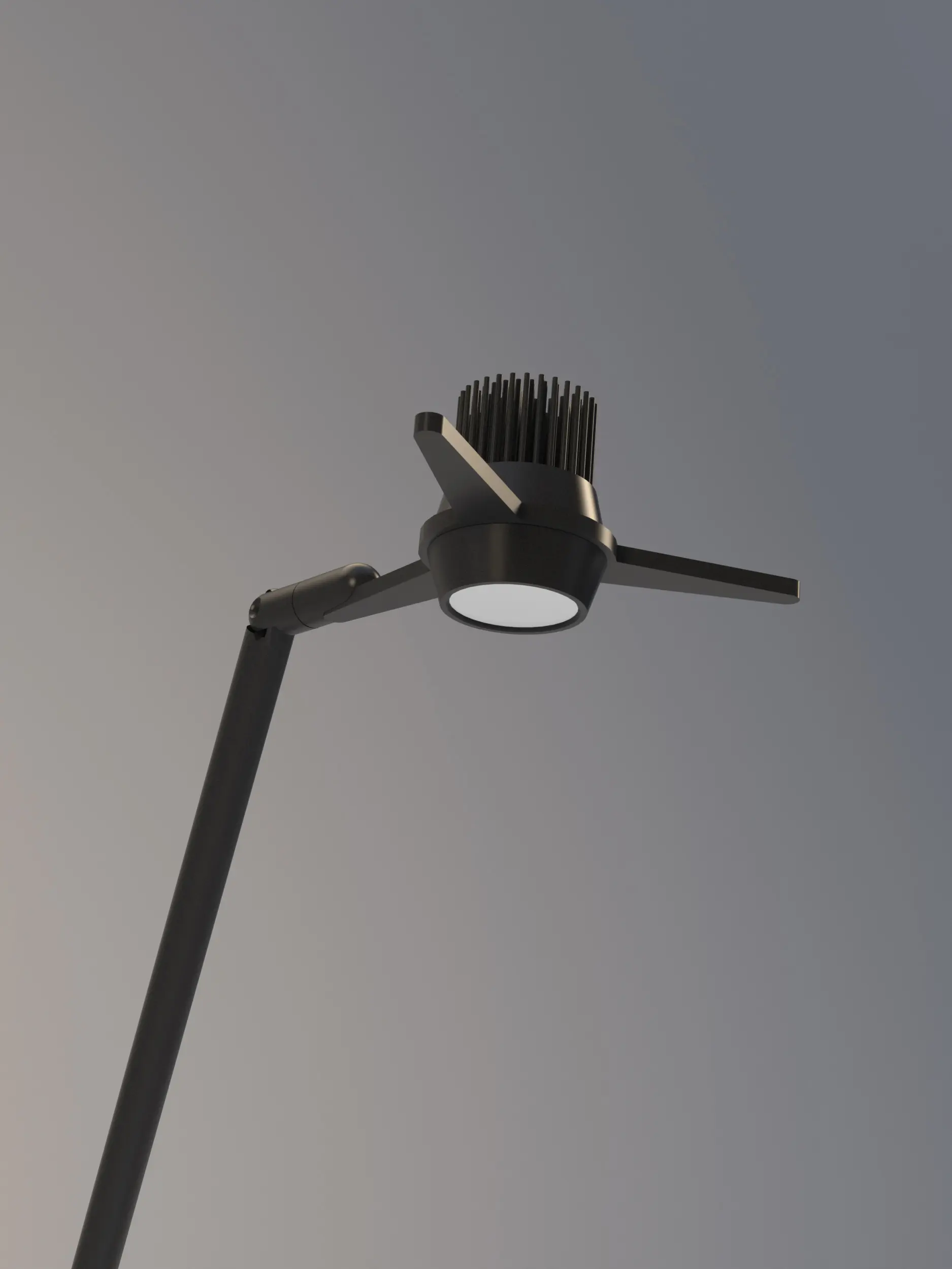 martinelli luce - Y3