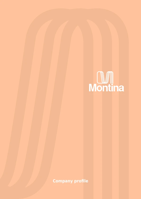 Imagen de vista previa del archivo Company Profile 2025