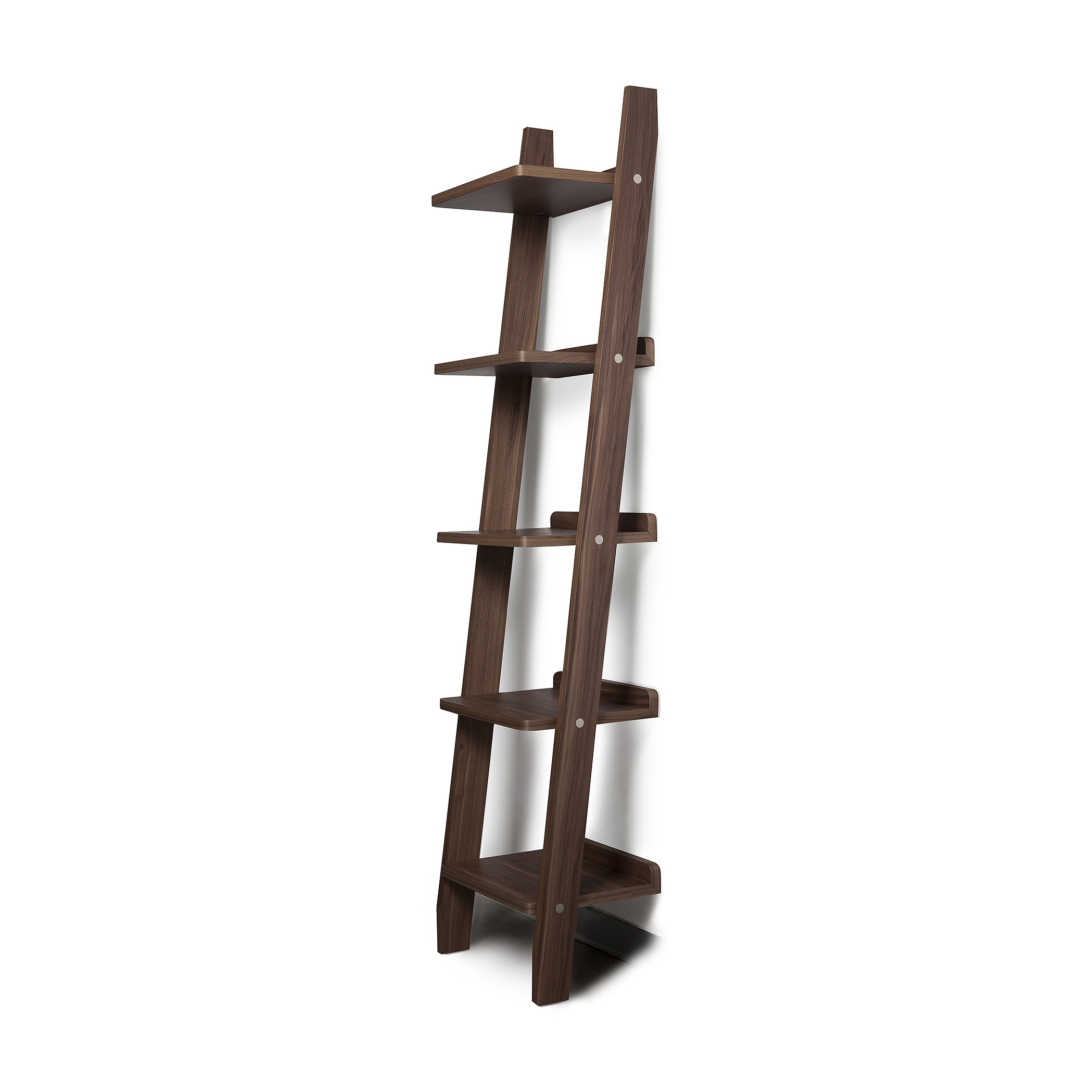Climb Bookcase