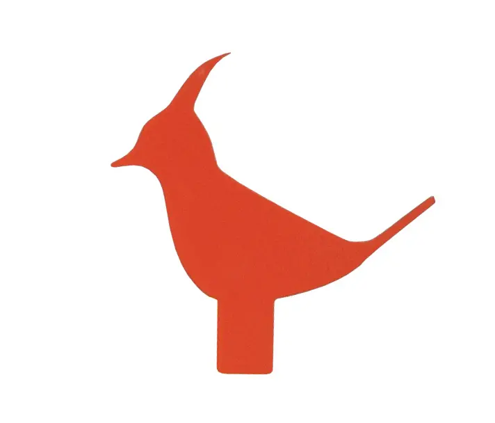 Fasem - Bird