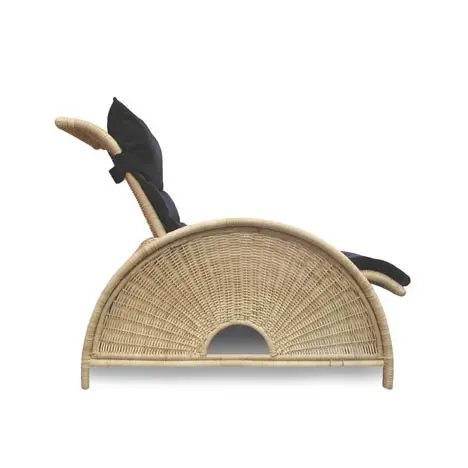 Canemaker - Chair of the Future