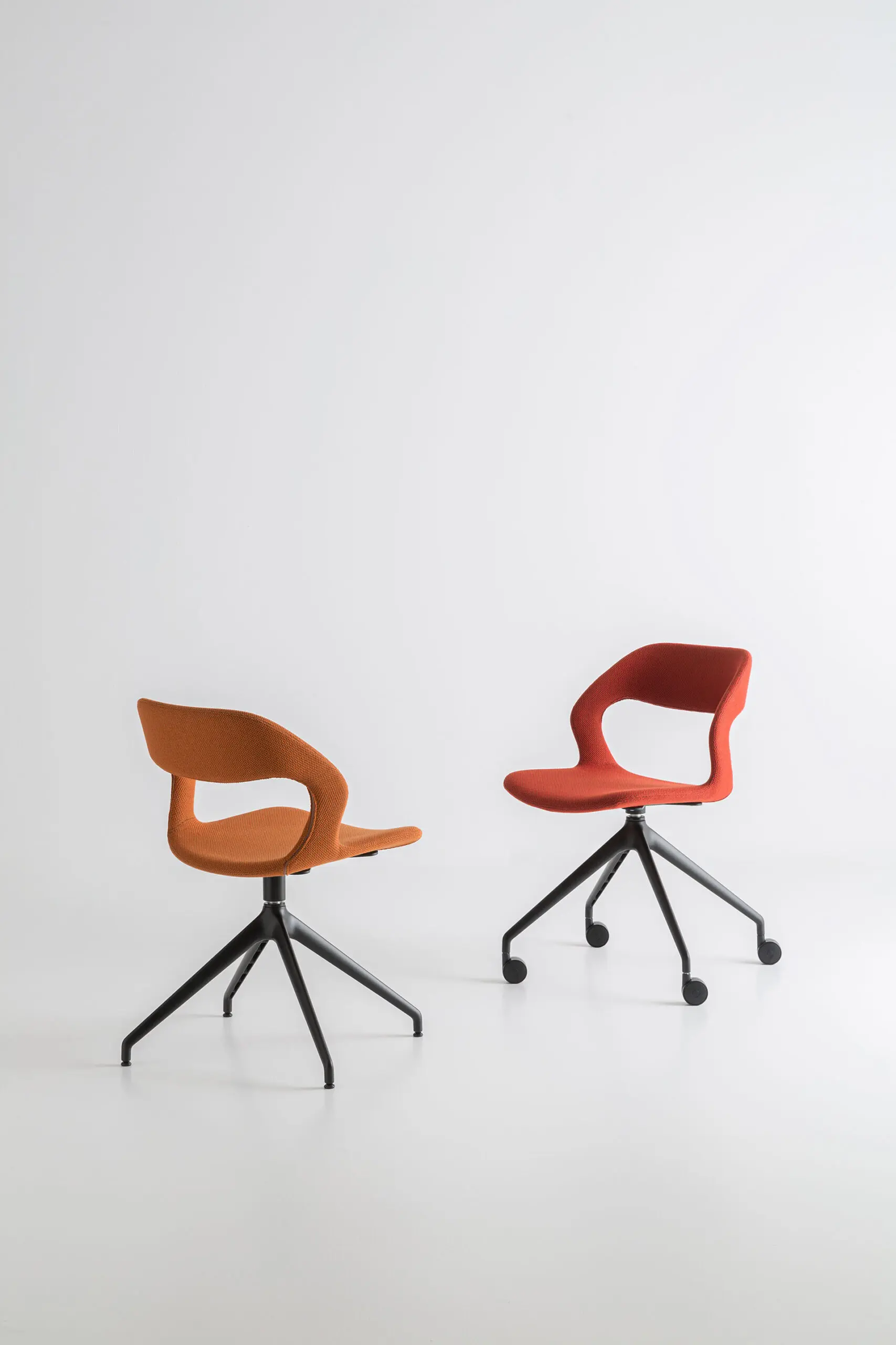 Crassevig - Mixis RS