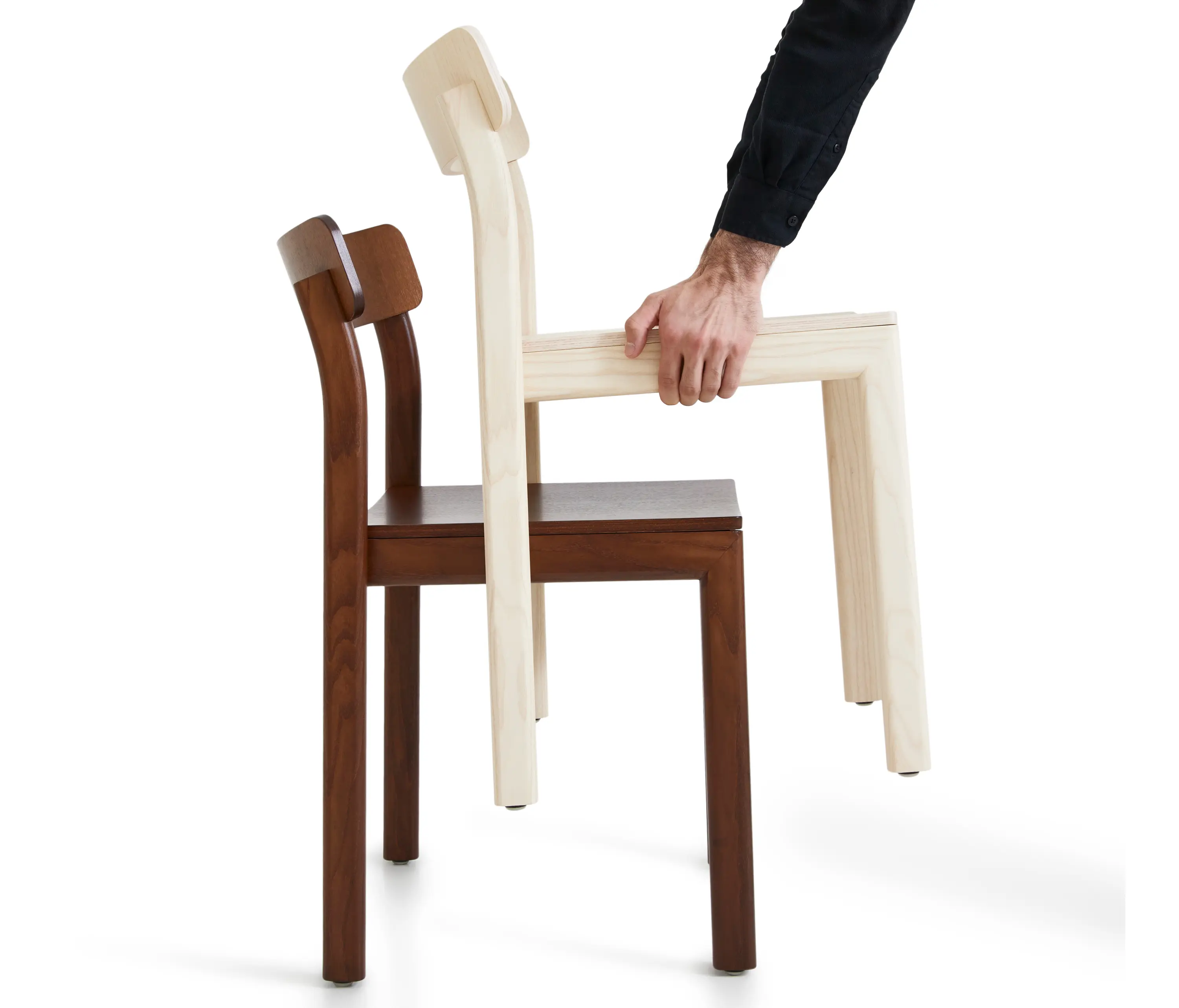 Crassevig - Frisia RS