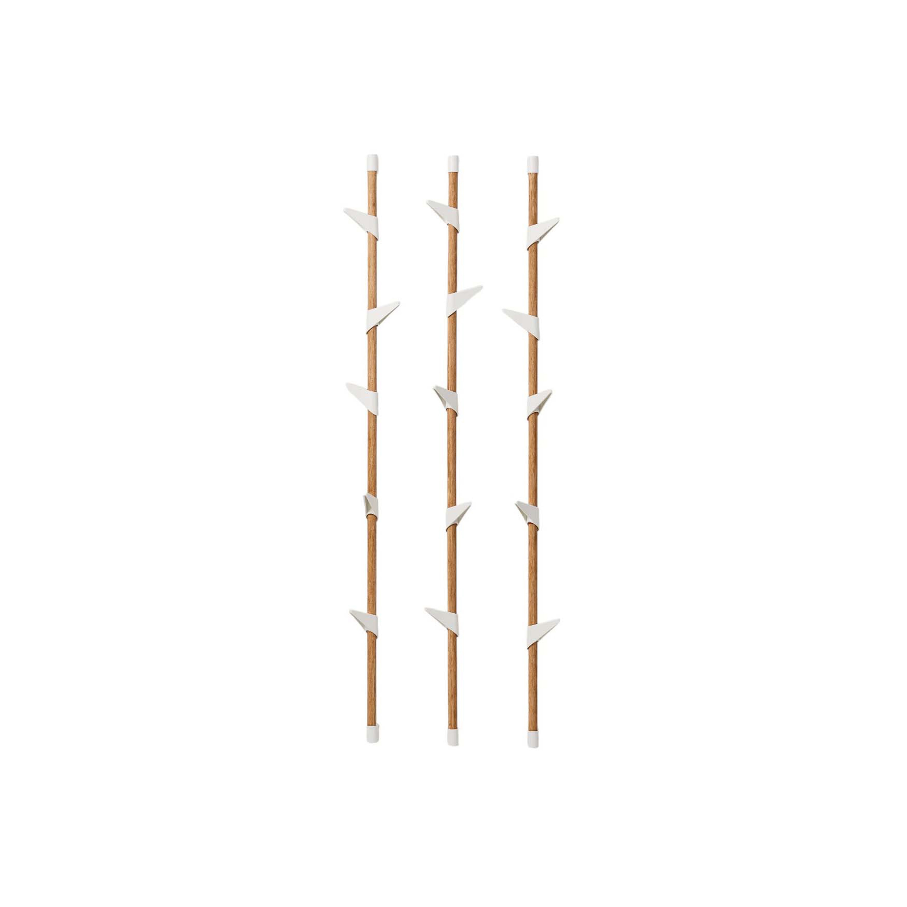 Display product Bamboo Wall 5 wall coat rack from manufacturer Cascando