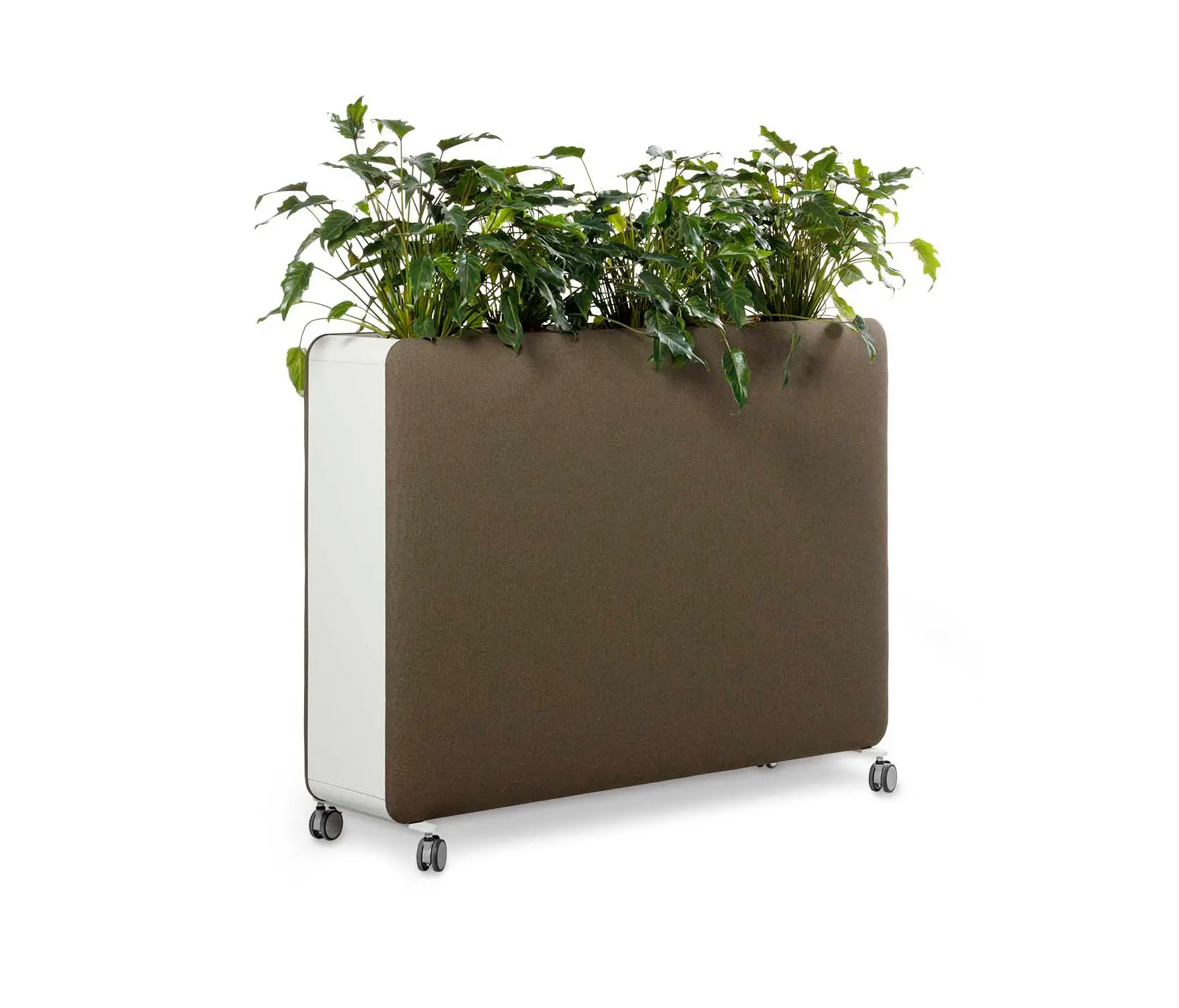 Cascando - Pillow Space Planter