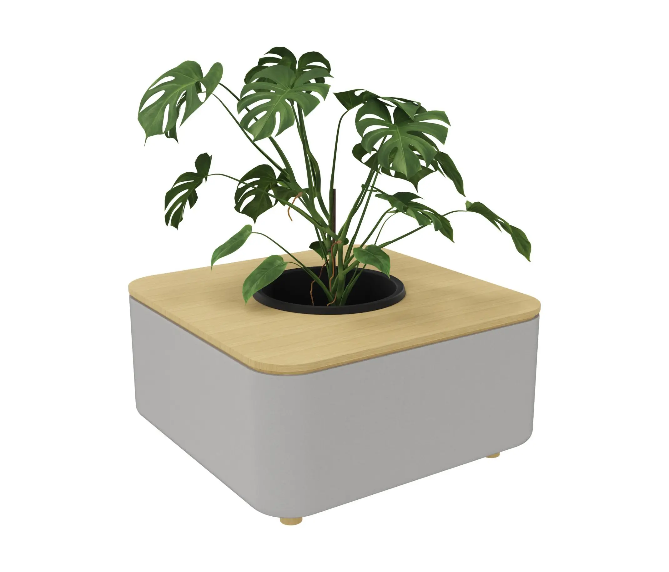 Cascando - Mezza Planter