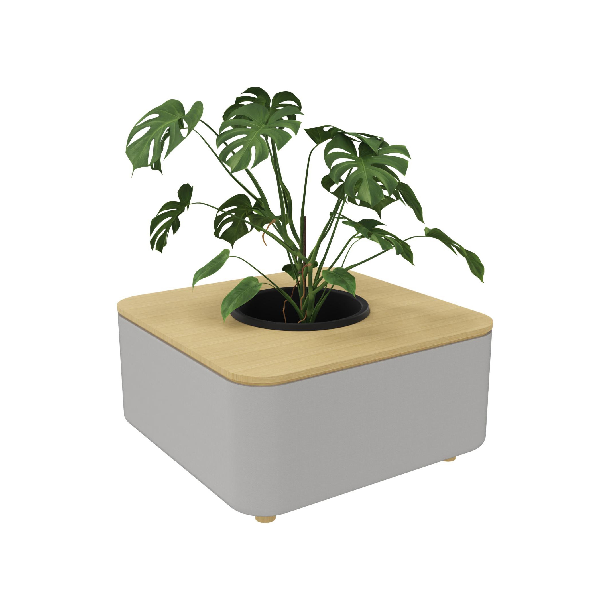 Produkt Mezza Planter des Herstellers Cascando anzeigen