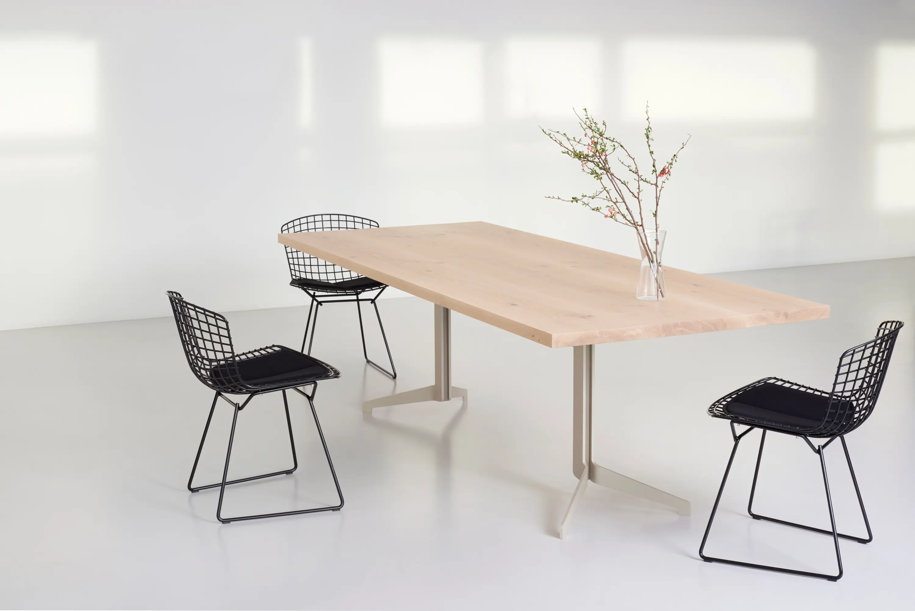 Mobimex - Lynx Meeting