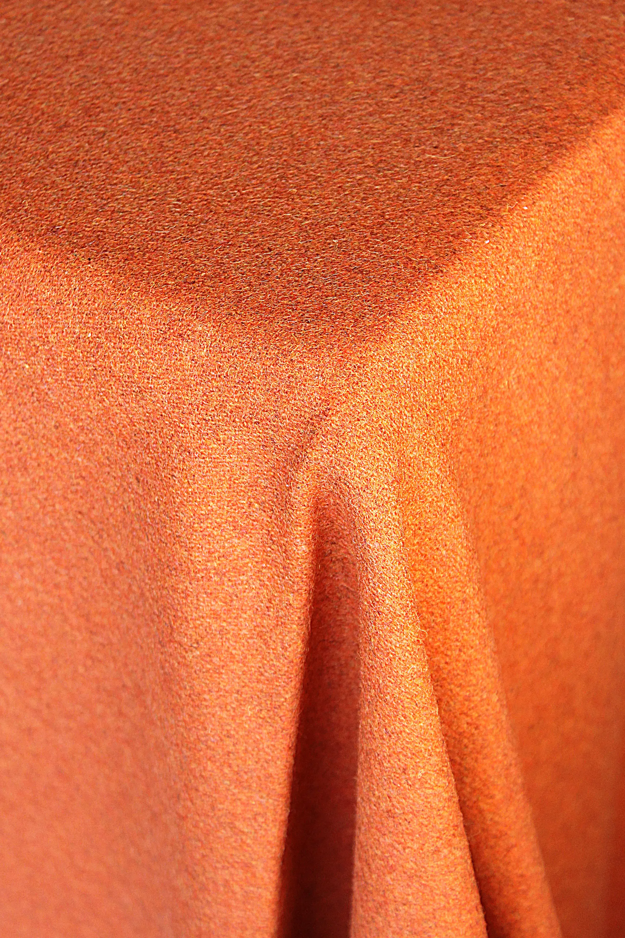 Création Baumann - CAVALLO PIU - 204